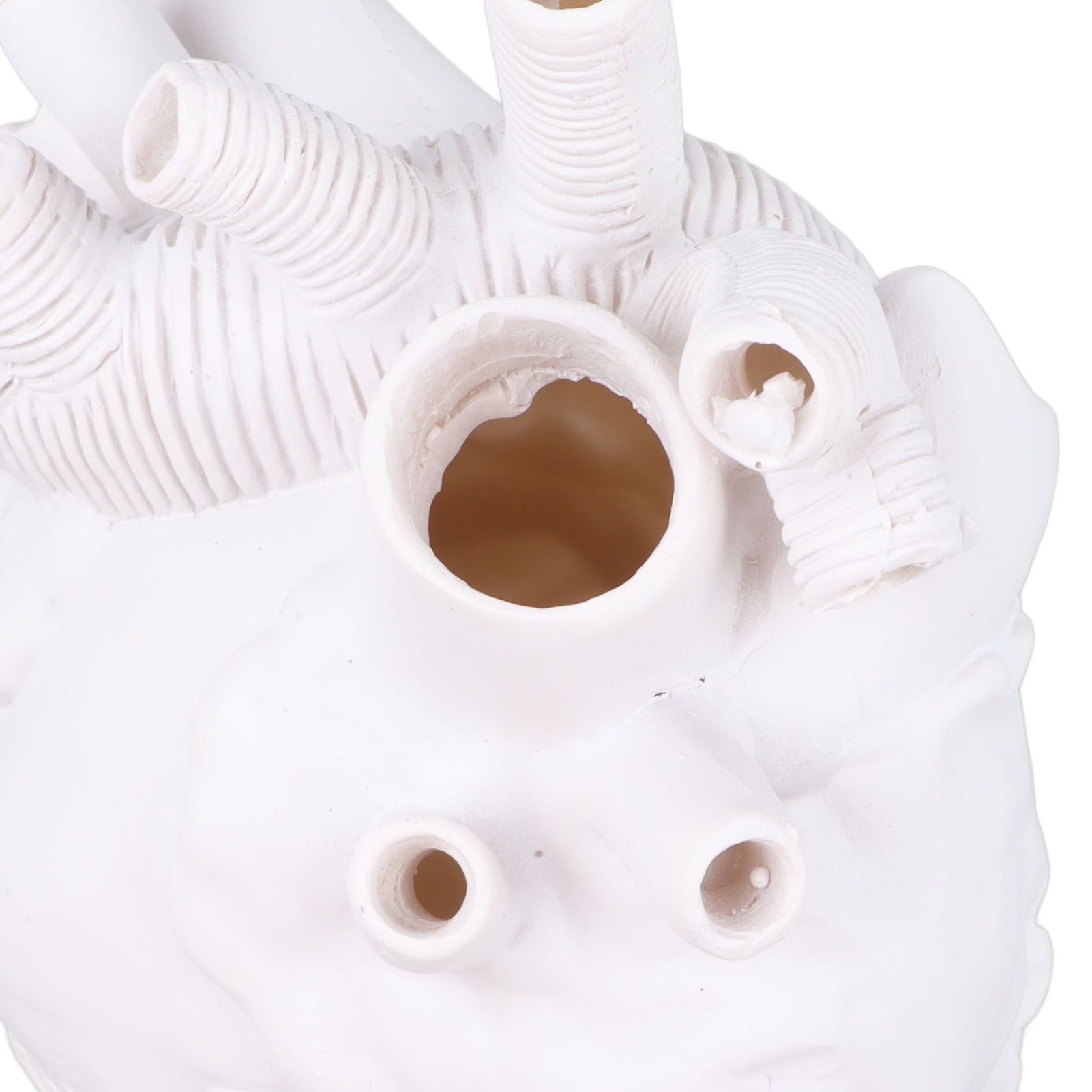 Creative Anatomical Heart Vases Resin Sculpture Heart Shaped Art Flower Vases view 15