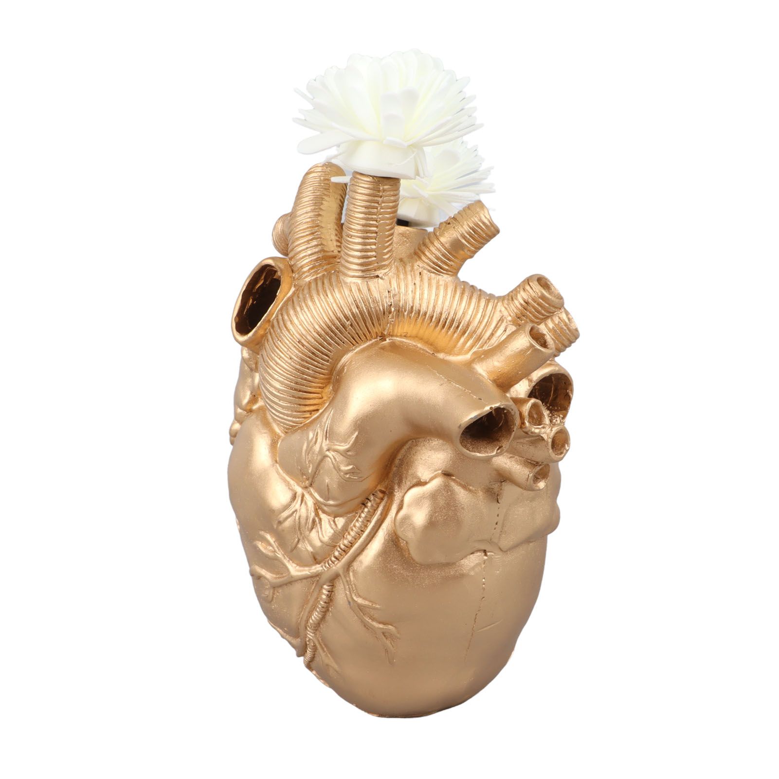 Creative Anatomical Heart Vases Resin Sculpture Heart Shaped Art Flower Vases view 3