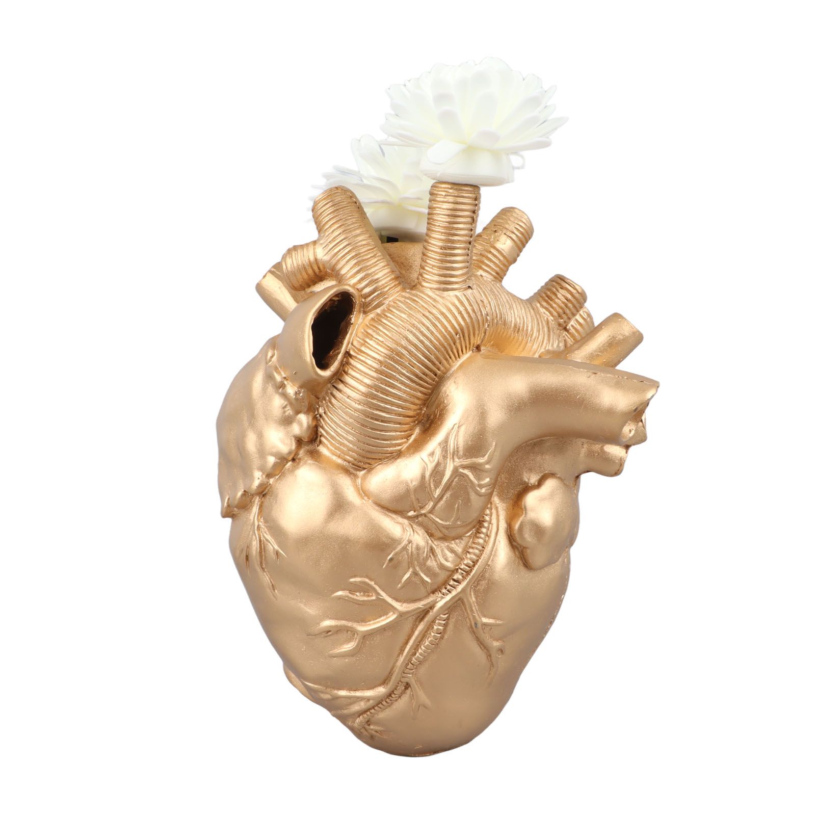 Creative Anatomical Heart Vases Resin Sculpture Heart Shaped Art Flower Vases view 4