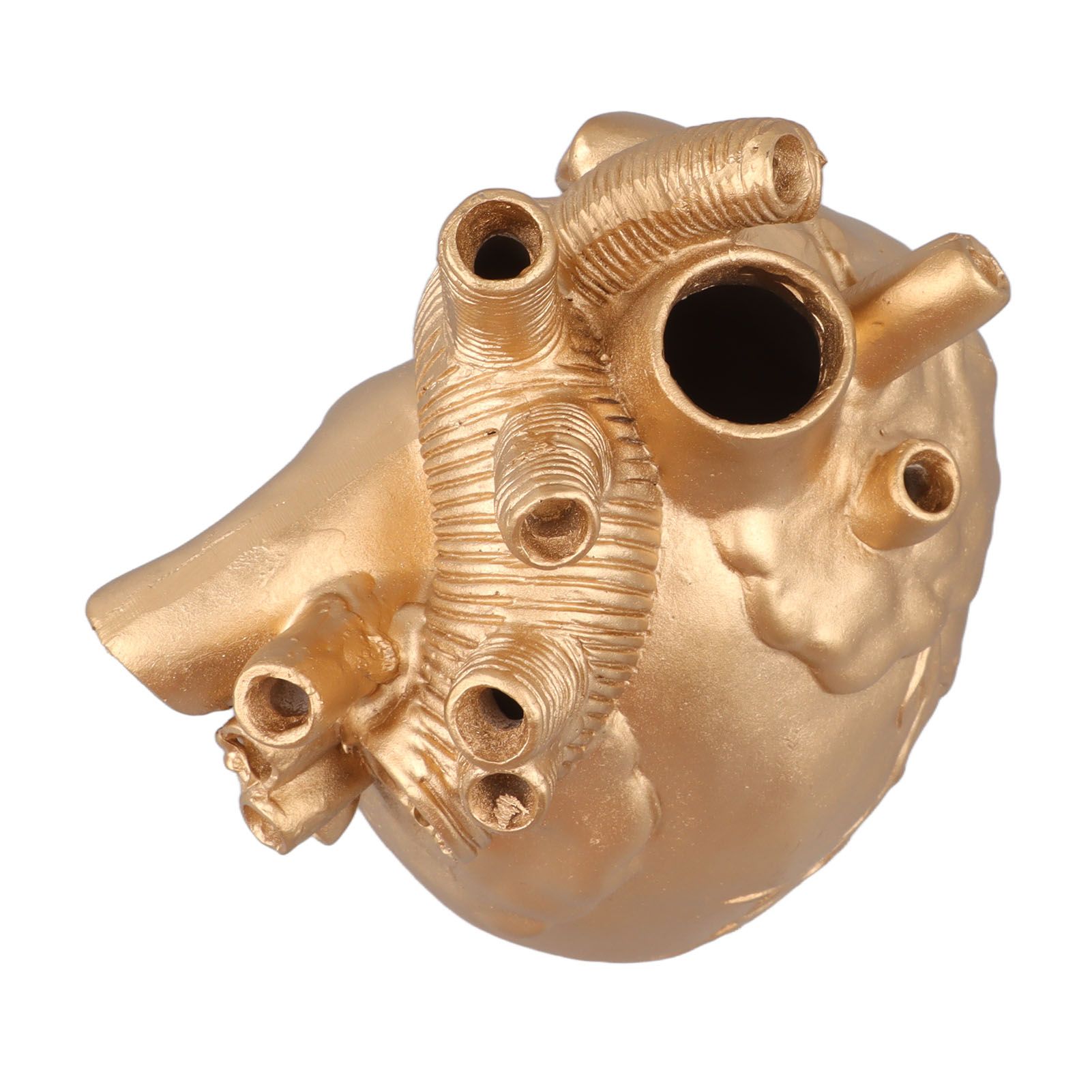 Creative Anatomical Heart Vases Resin Sculpture Heart Shaped Art Flower Vases view 9