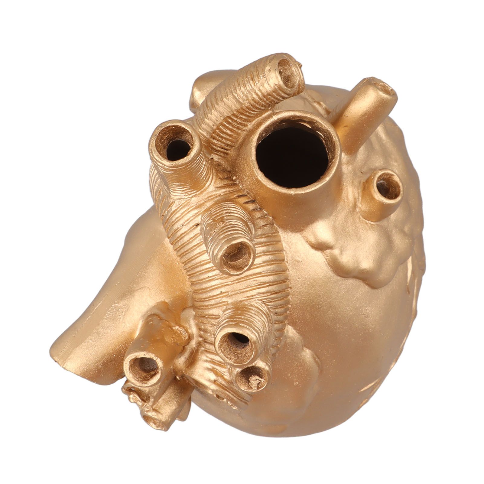 Creative Anatomical Heart Vases Resin Sculpture Heart Shaped Art Flower Vases view 10
