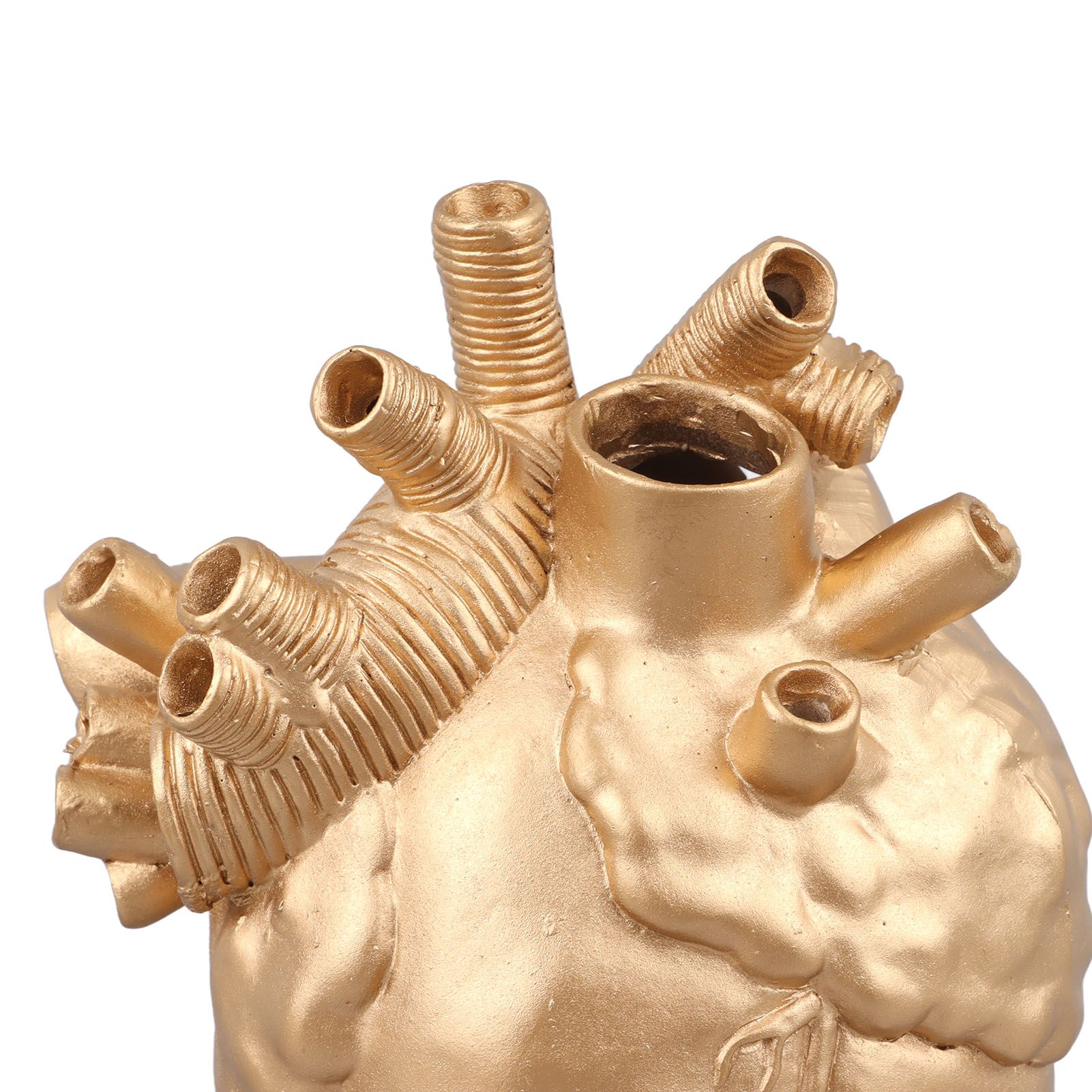 Creative Anatomical Heart Vases Resin Sculpture Heart Shaped Art Flower Vases view 13
