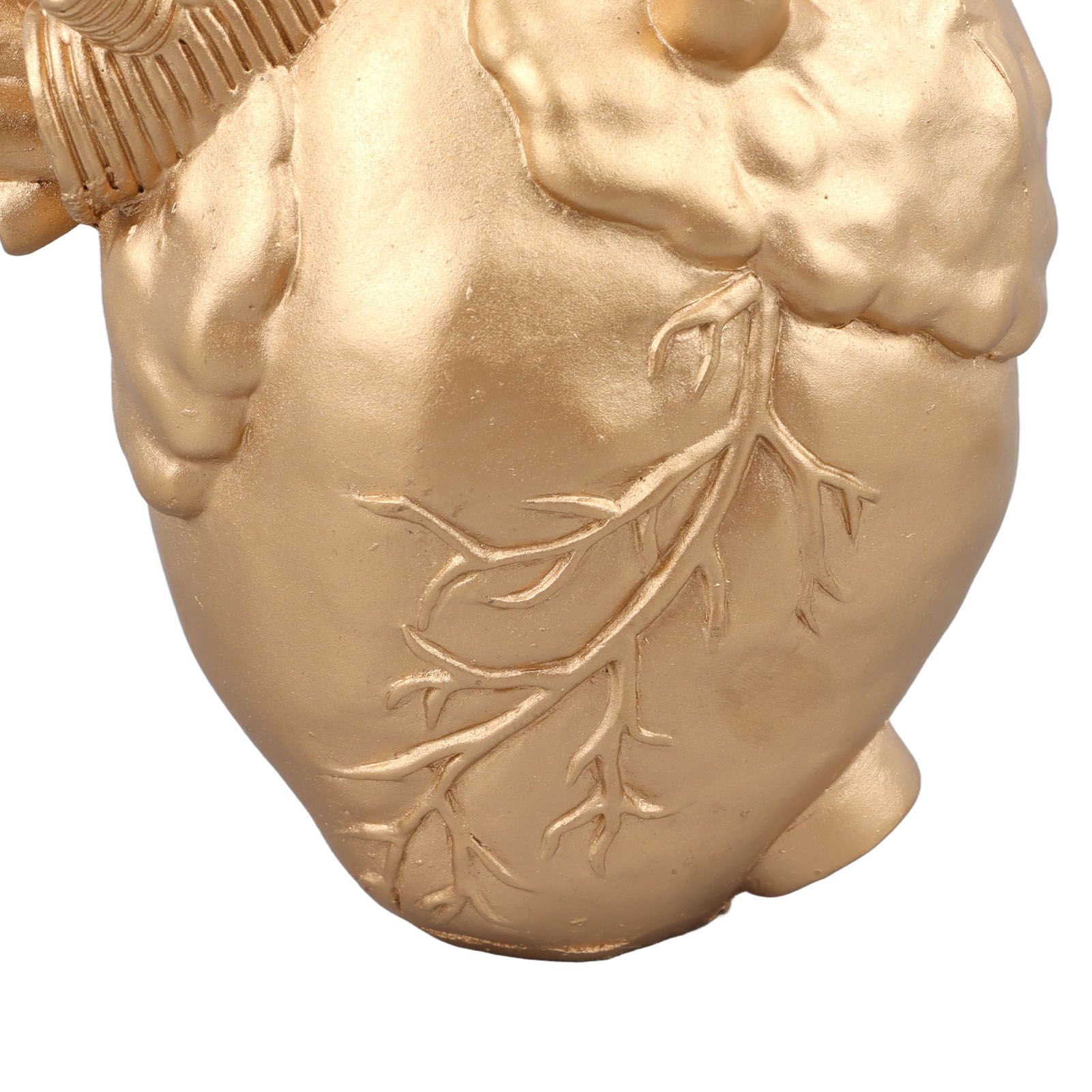 Creative Anatomical Heart Vases Resin Sculpture Heart Shaped Art Flower Vases view 14