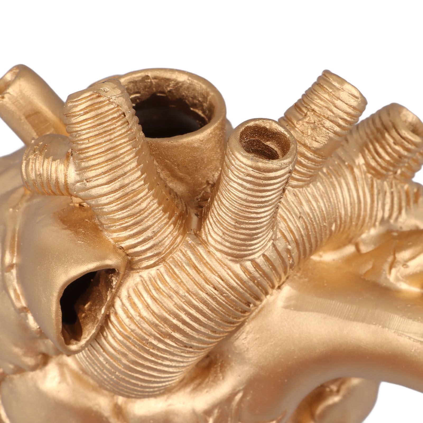 Creative Anatomical Heart Vases Resin Sculpture Heart Shaped Art Flower Vases view 15