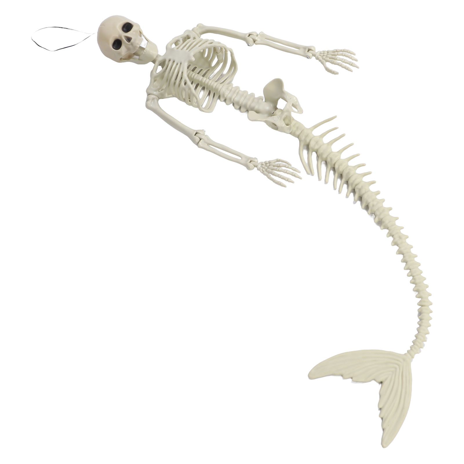 Halloween Skeleton Decoration Realistic Scary Skeleton Figurine Ornament for view 2
