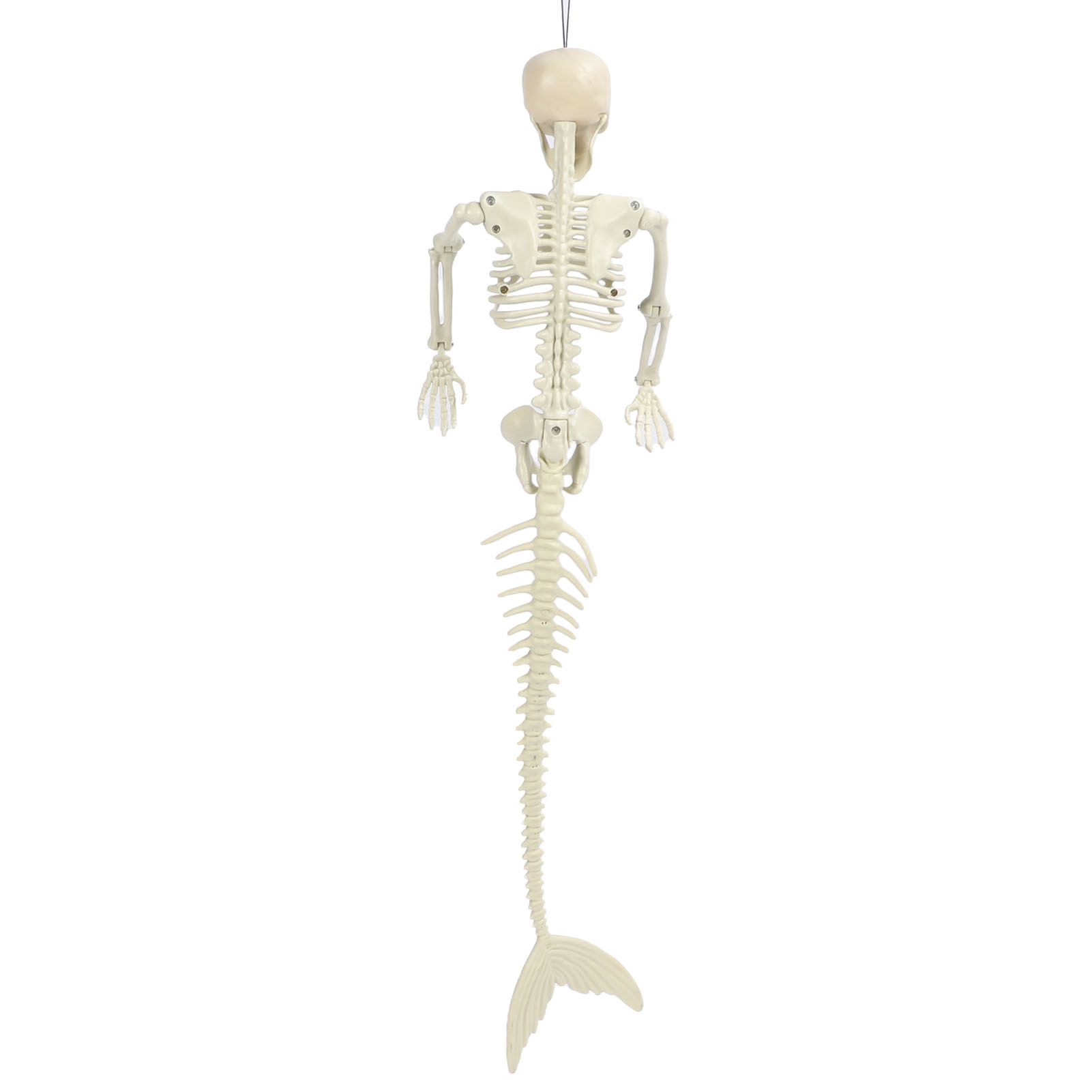 Halloween Skeleton Decoration Realistic Scary Skeleton Figurine Ornament for view 6