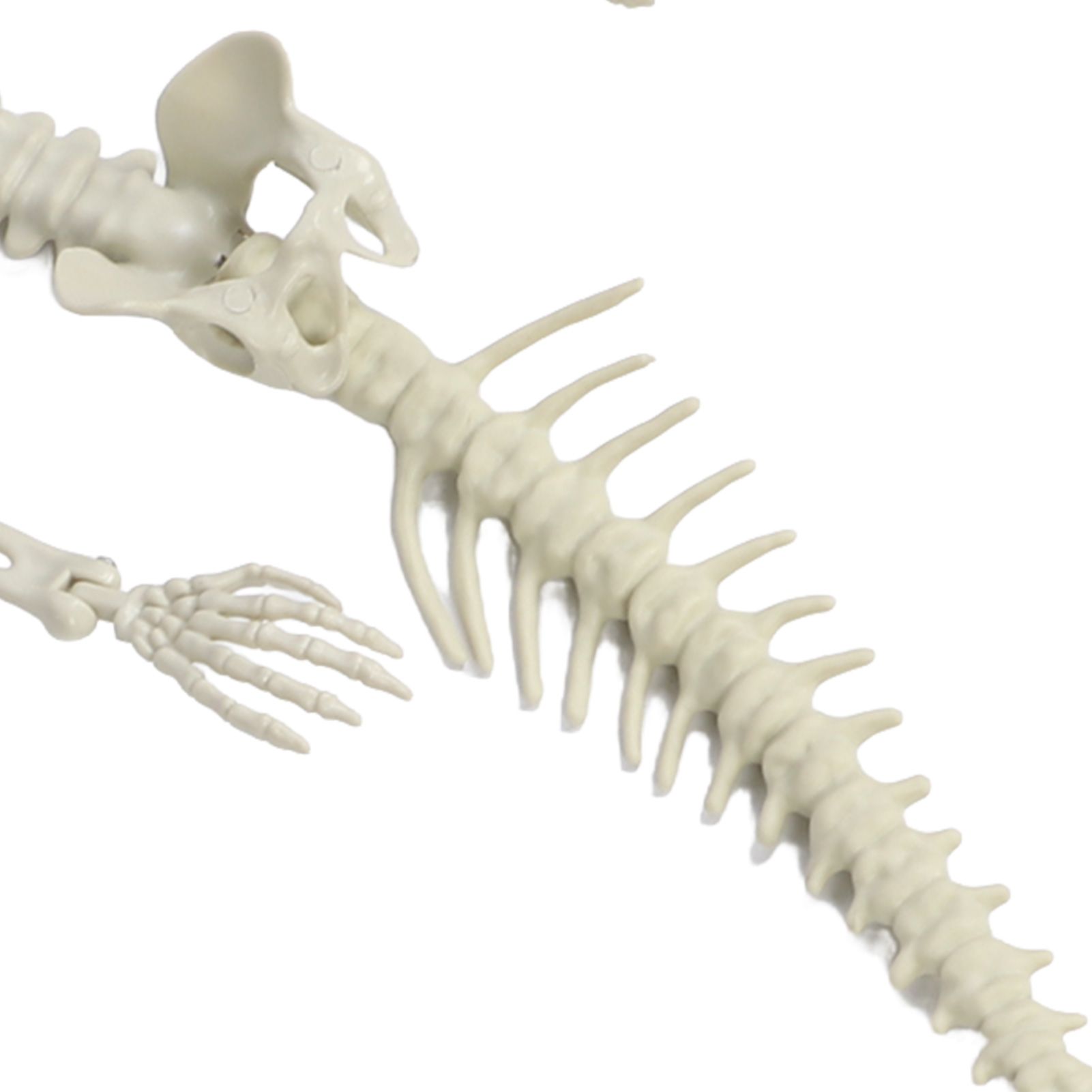 Halloween Skeleton Decoration Realistic Scary Skeleton Figurine Ornament for view 14