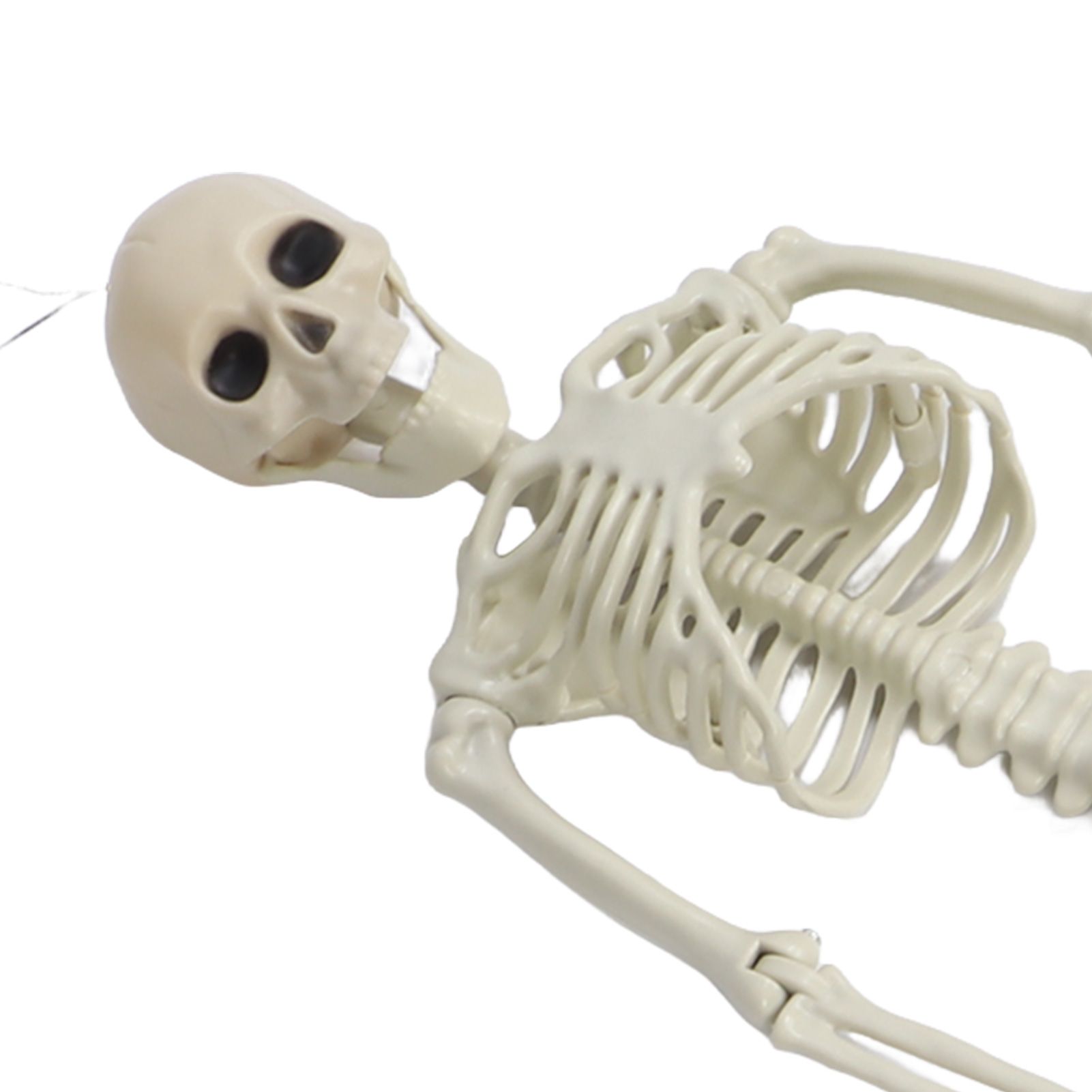 Halloween Skeleton Decoration Realistic Scary Skeleton Figurine Ornament for view 15