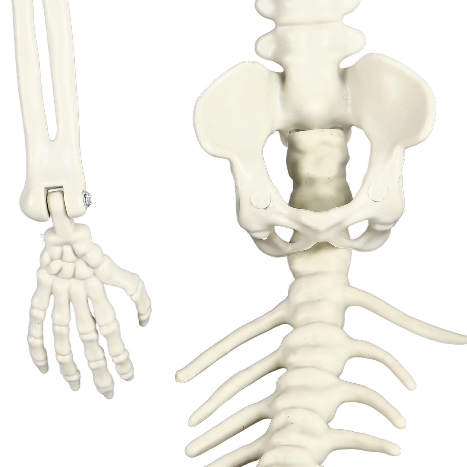 Life Size Skeleton Mermaid Halloween Outdoor Decorations Movable Posable view 14