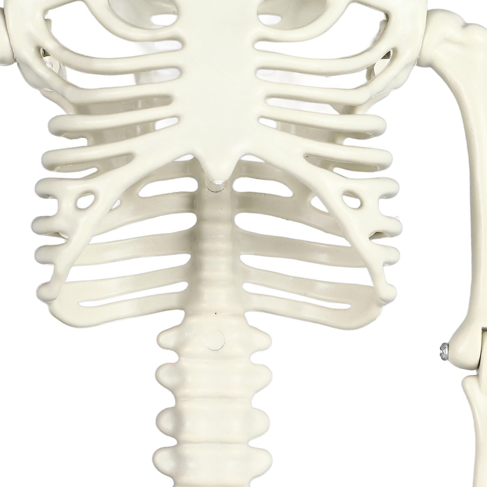 Life Size Skeleton Mermaid Halloween Outdoor Decorations Movable Posable view 15