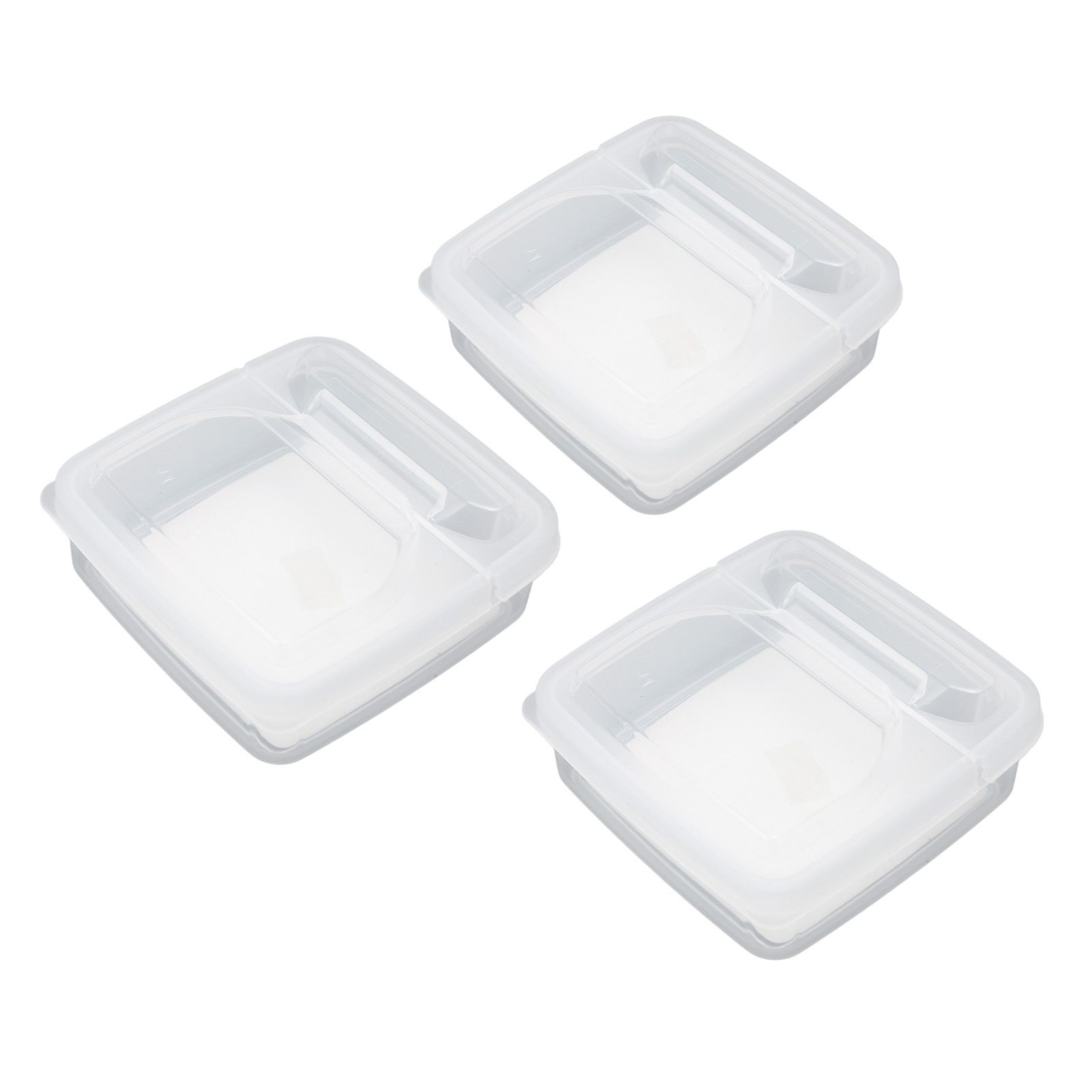 3Pcs Flip Lid Cheese Container Transparent Clear PP Food Storage Box Case for view 3