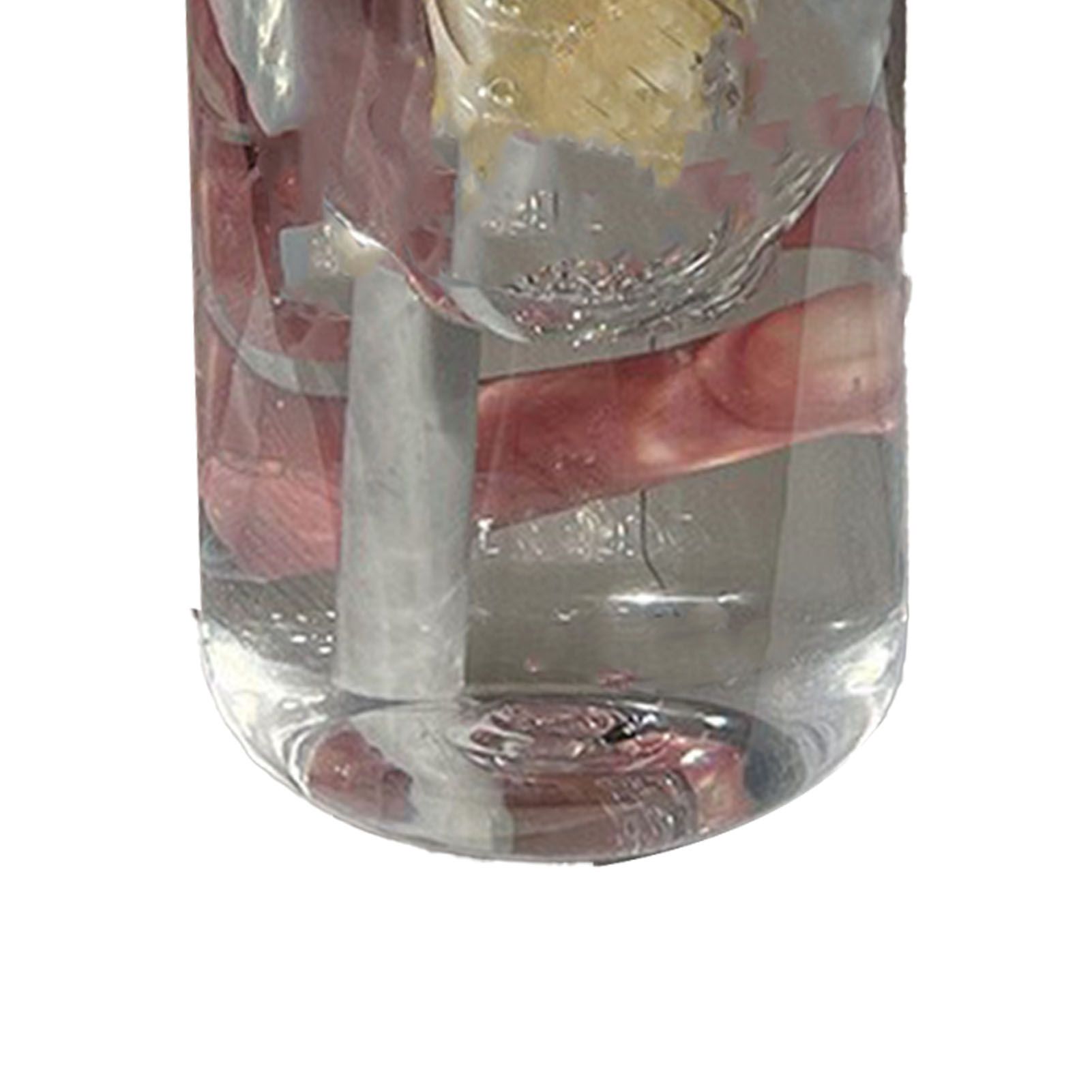 Straw Water Bottle Built in Tea Strainer with Handle PC 700ml Beautiful Cute view 7