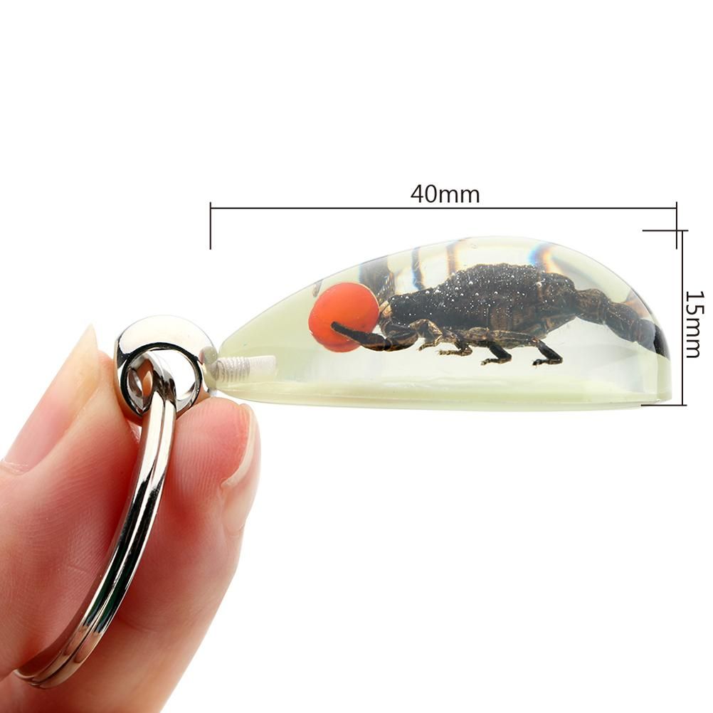 Glowing Insect Keychain Animal Specimens Keychain Resin Collectible Gift for view 2