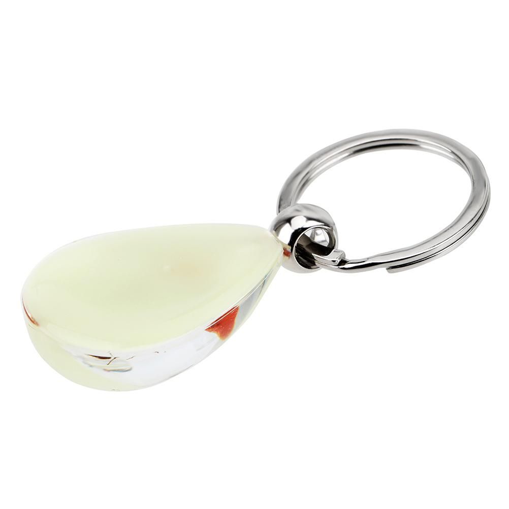 Glowing Insect Keychain Animal Specimens Keychain Resin Collectible Gift for view 3