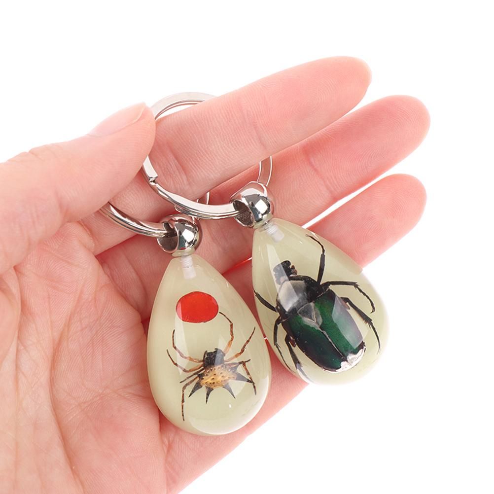 Glowing Insect Keychain Animal Specimens Keychain Resin Collectible Gift for view 4