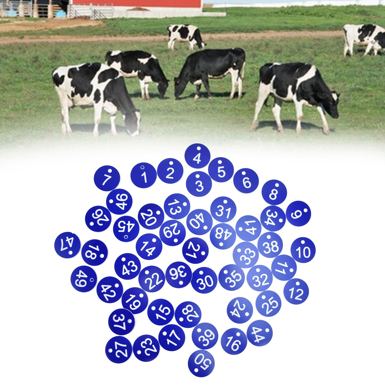 50PCS Numbered Label Numbered Tag for Farm Livestock Beekeeping Husbandry view 11