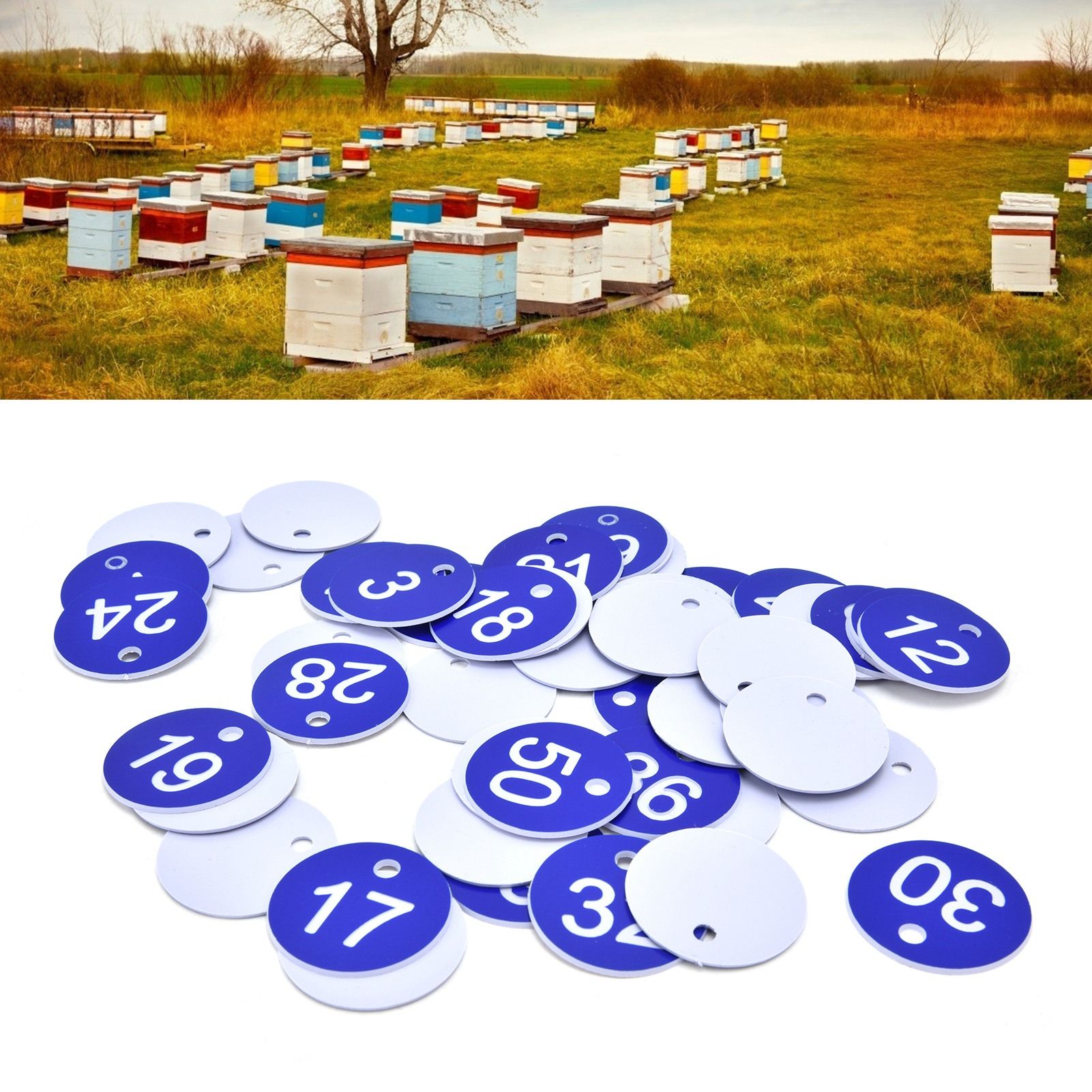 50PCS Numbered Label Numbered Tag for Farm Livestock Beekeeping Husbandry view 12