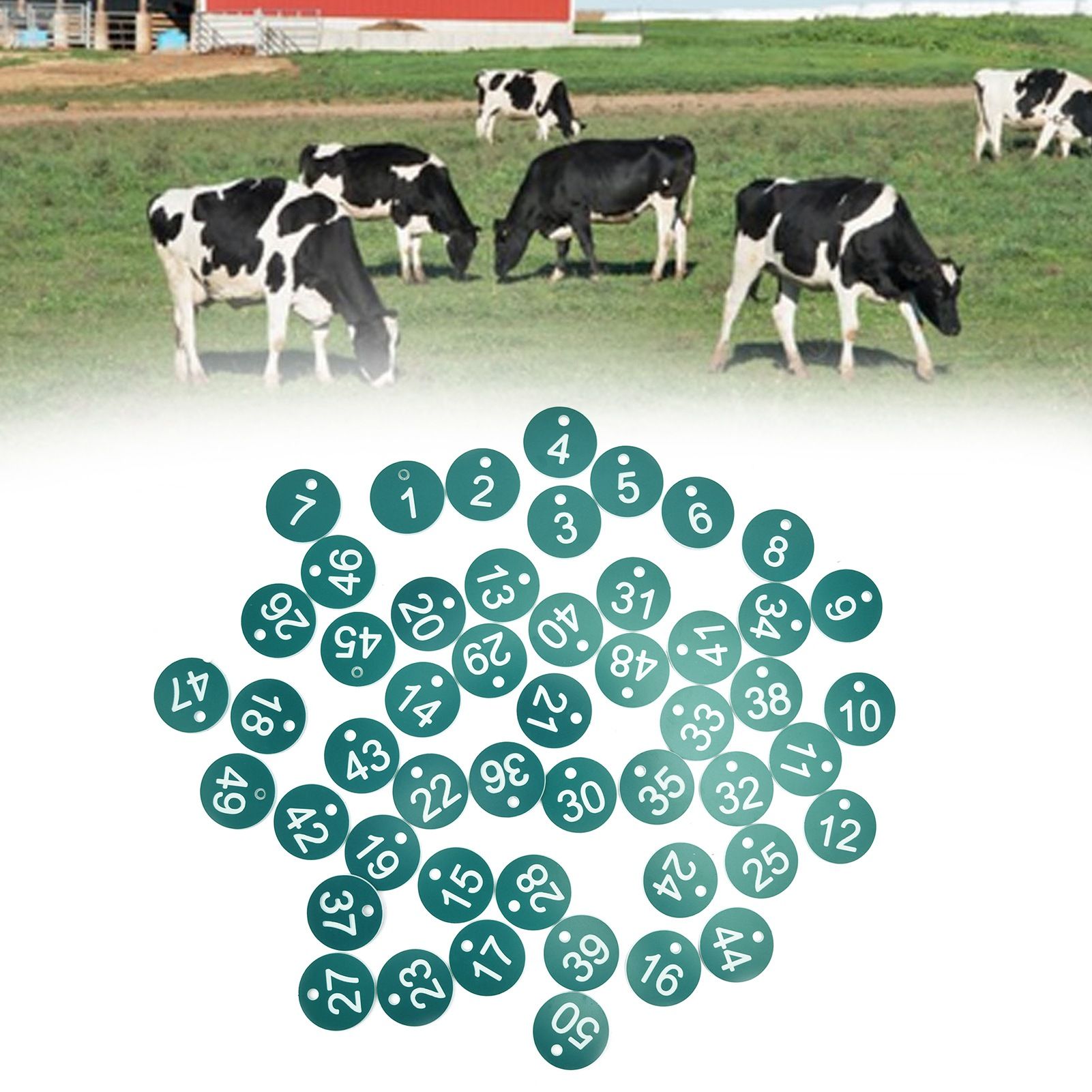 50PCS Numbered Label Numbered Tag for Farm Livestock Beekeeping Husbandry view 11