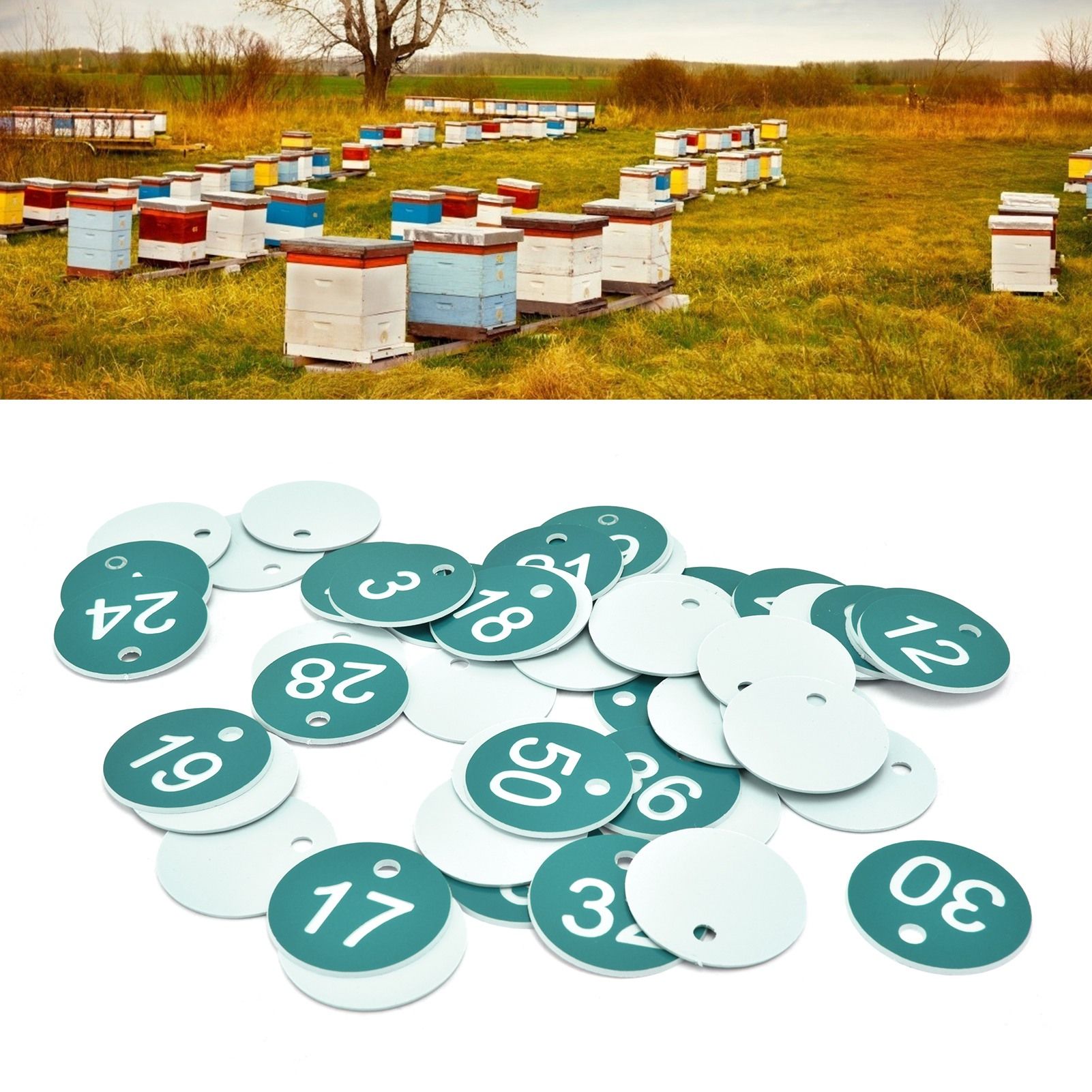 50PCS Numbered Label Numbered Tag for Farm Livestock Beekeeping Husbandry view 12