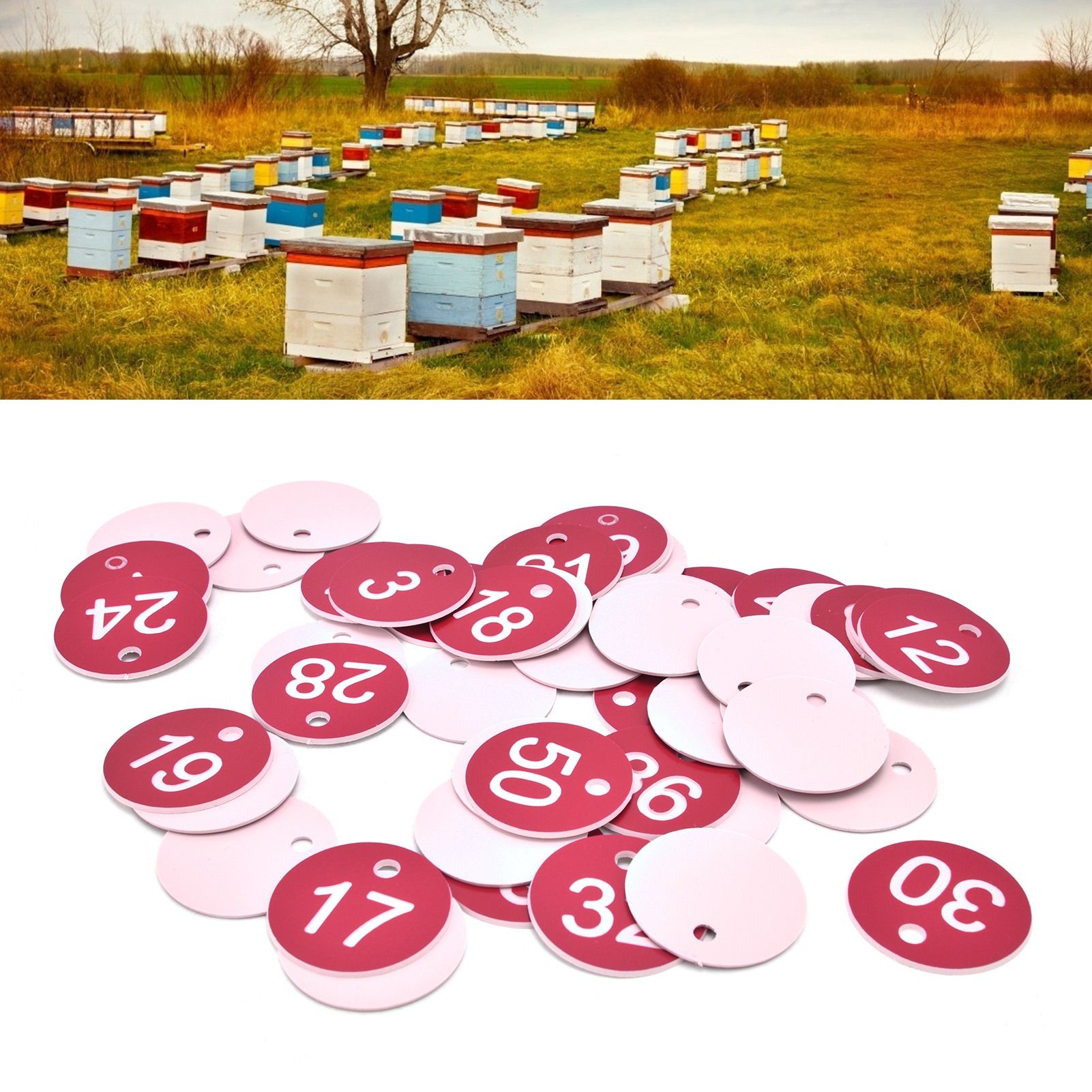 50PCS Numbered Label Numbered Tag for Farm Livestock Beekeeping Husbandry view 12