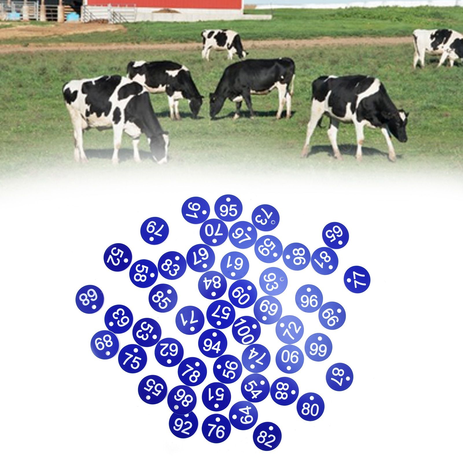 50PCS Numbered Label Numbered Tag for Farm Livestock Beekeeping Husbandry view 11