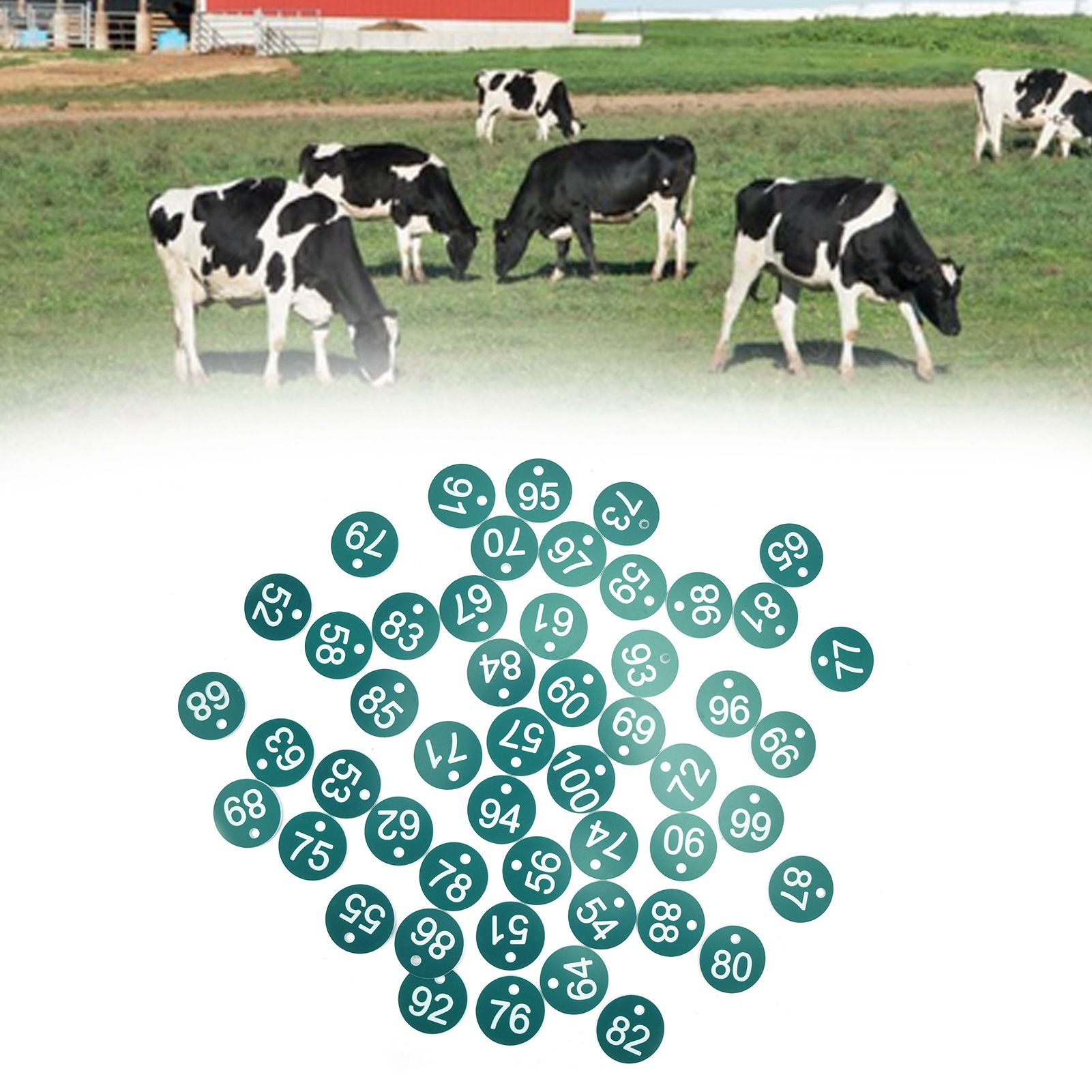 50PCS Numbered Label Numbered Tag for Farm Livestock Beekeeping Husbandry view 11