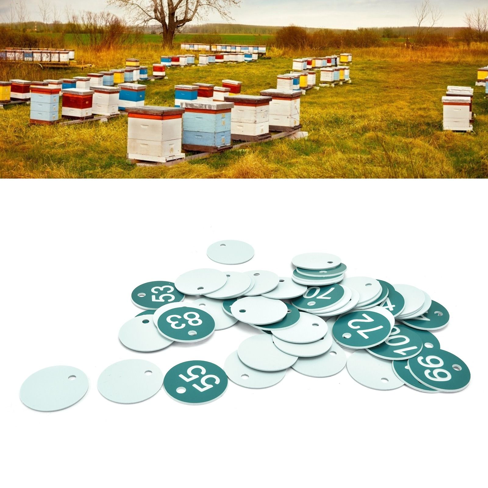 50PCS Numbered Label Numbered Tag for Farm Livestock Beekeeping Husbandry view 12