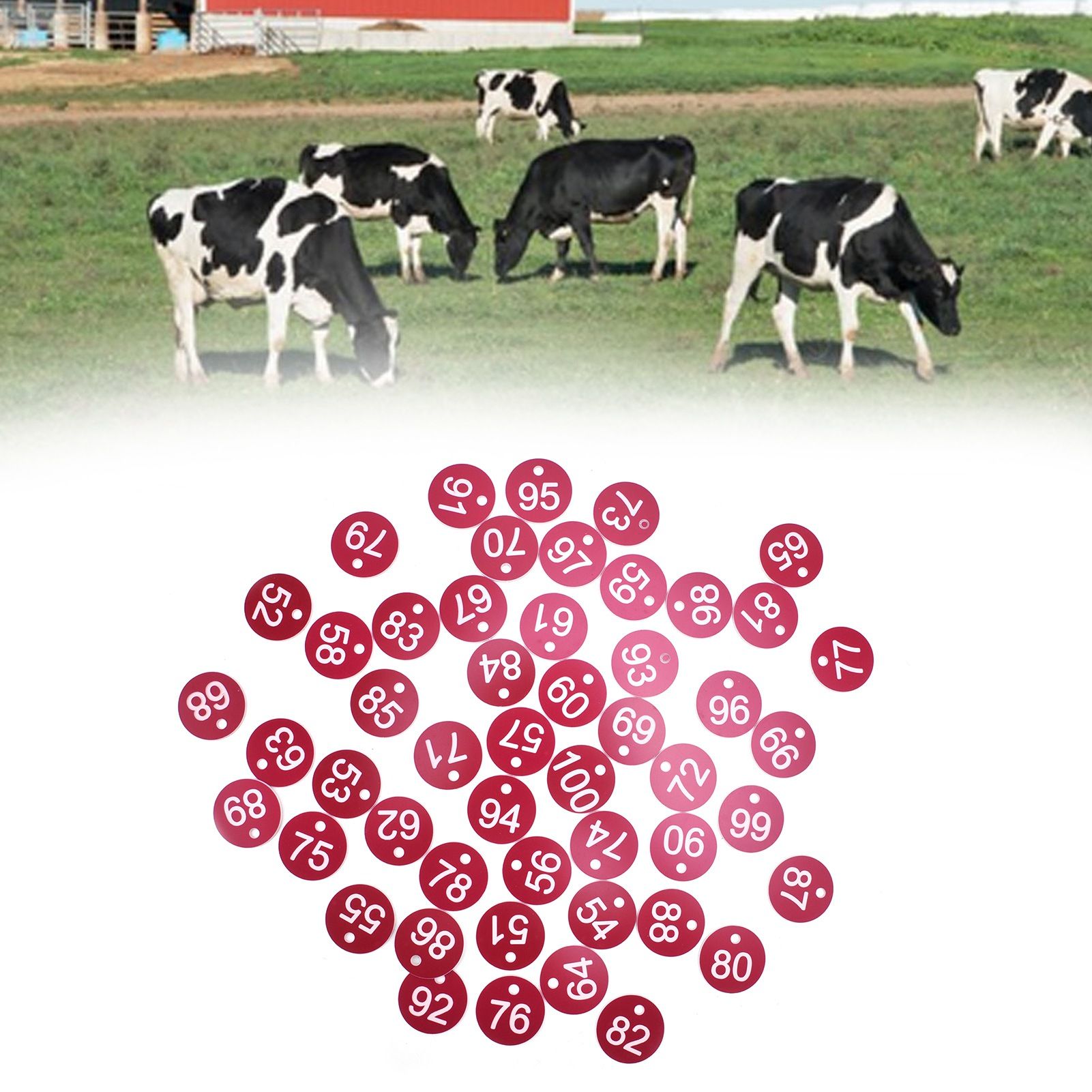 50PCS Numbered Label Numbered Tag for Farm Livestock Beekeeping Husbandry view 11