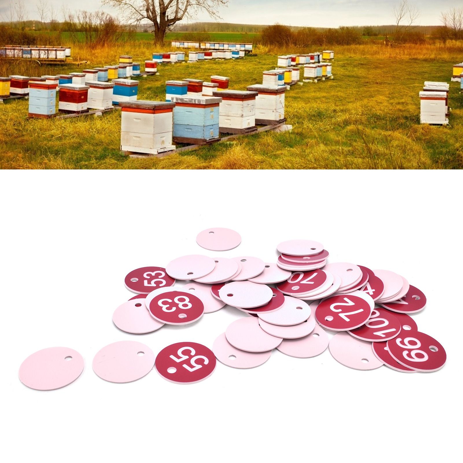 50PCS Numbered Label Numbered Tag for Farm Livestock Beekeeping Husbandry view 12