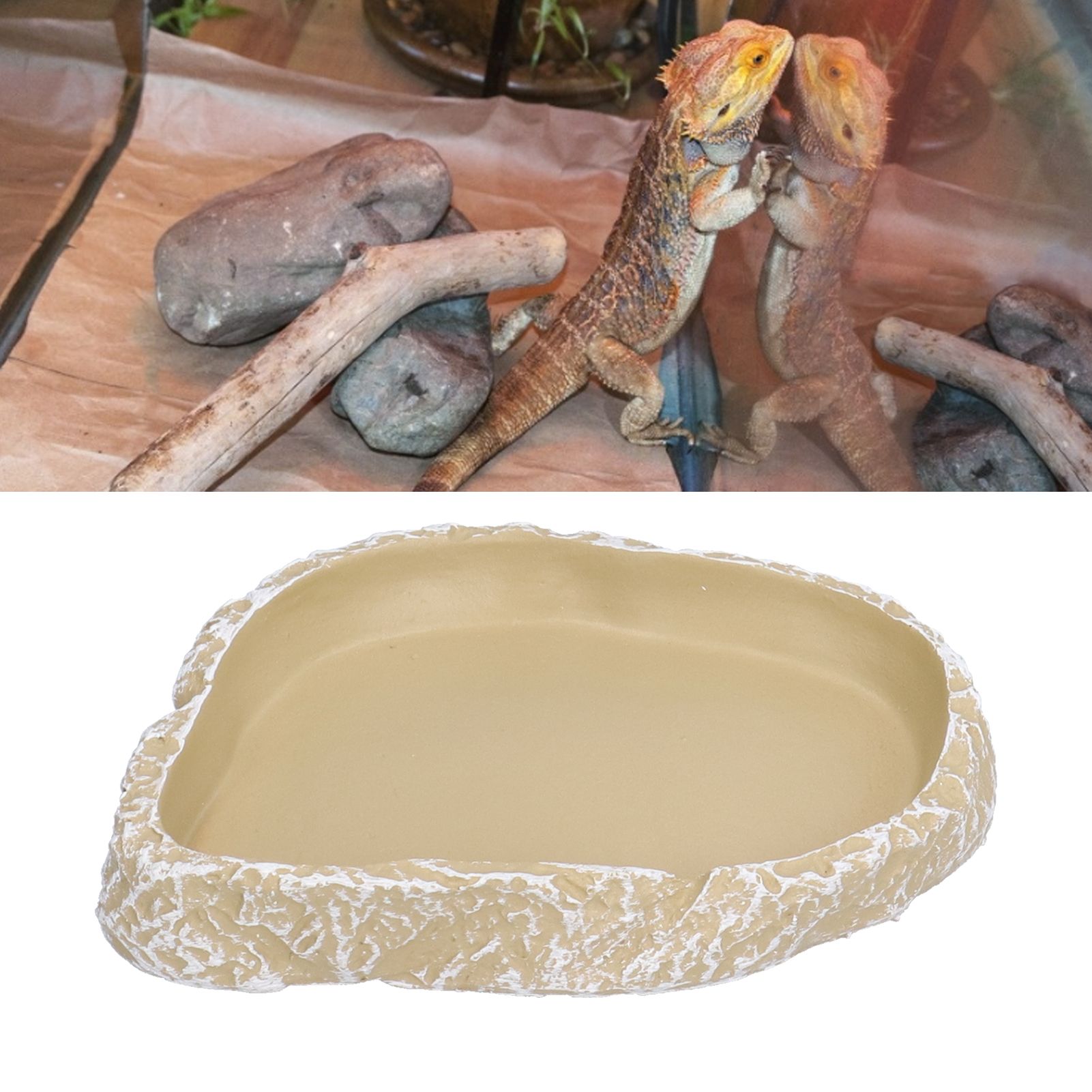 Reptile Food Water Bowl Resin Pets Feeding Plate Dish for Aquarium Tortoises view 12