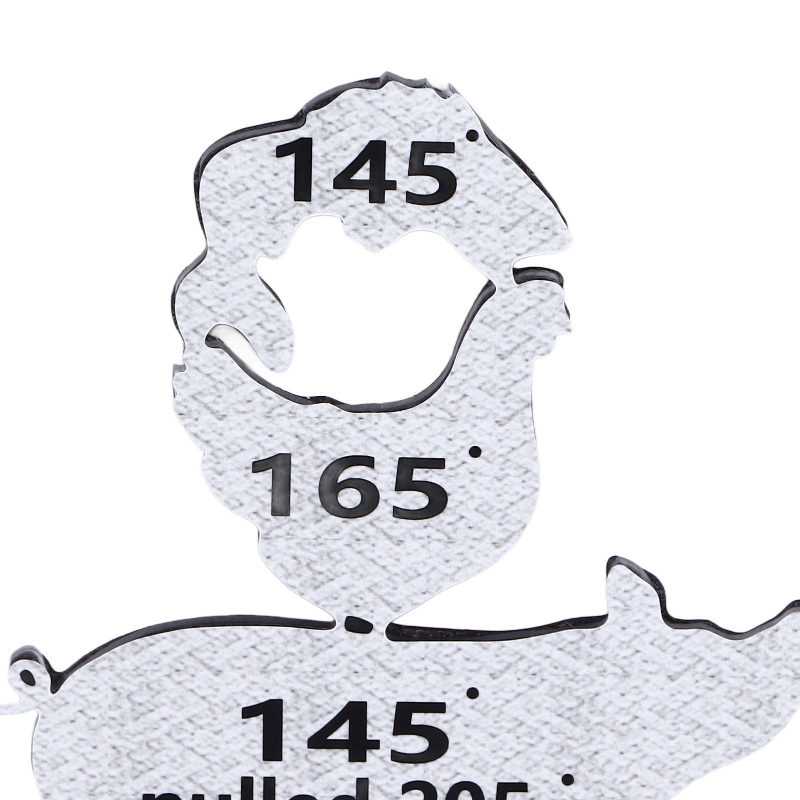 Meat Temperature Magnet Animal Internal Temperature Guide Acrylic Beef Pork view 14