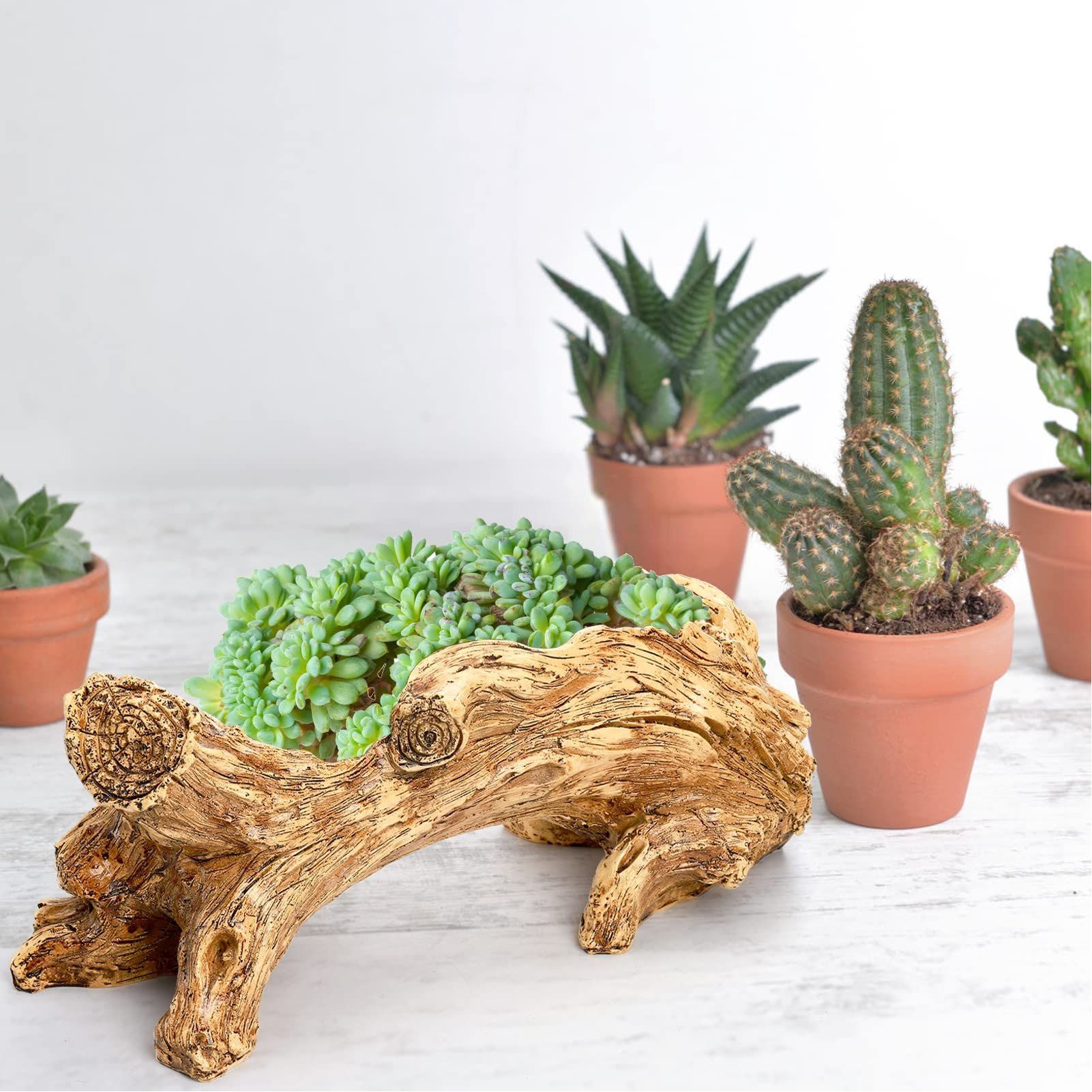 Artificial Driftwood Planter Resin Succulent Planter Vintage Tree Root Stump view 12