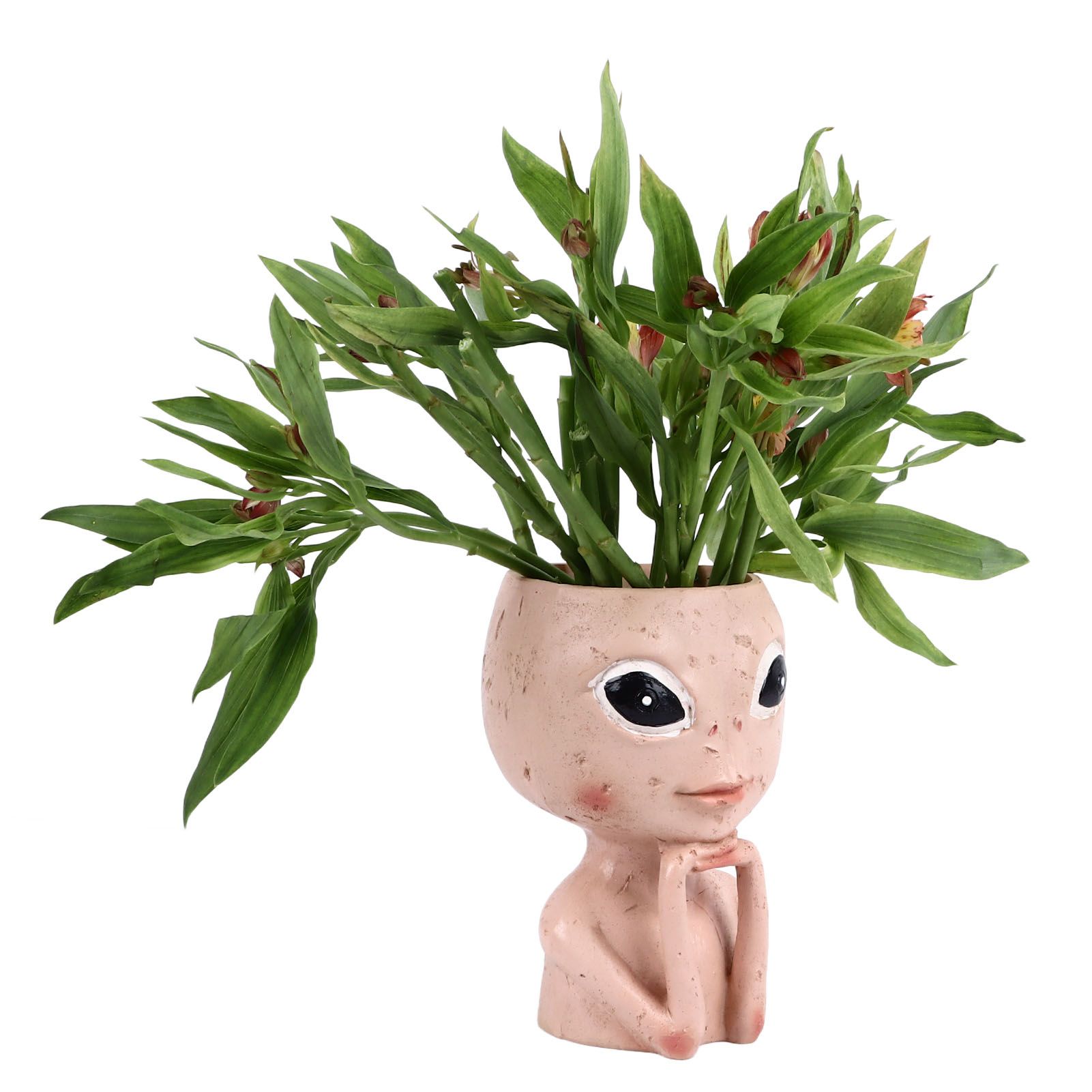 Head Planter Resin Unique Succulent Flower Pot Open Eyed Alien Face Planter view 4