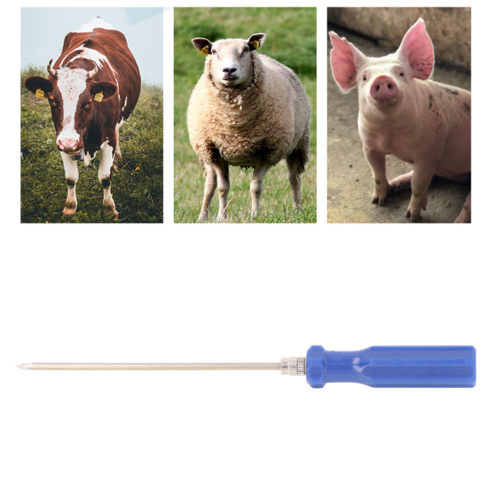 3PCS Livestock Trocar Stainless Steel Dispensing Stomach Deflation Needle view 11