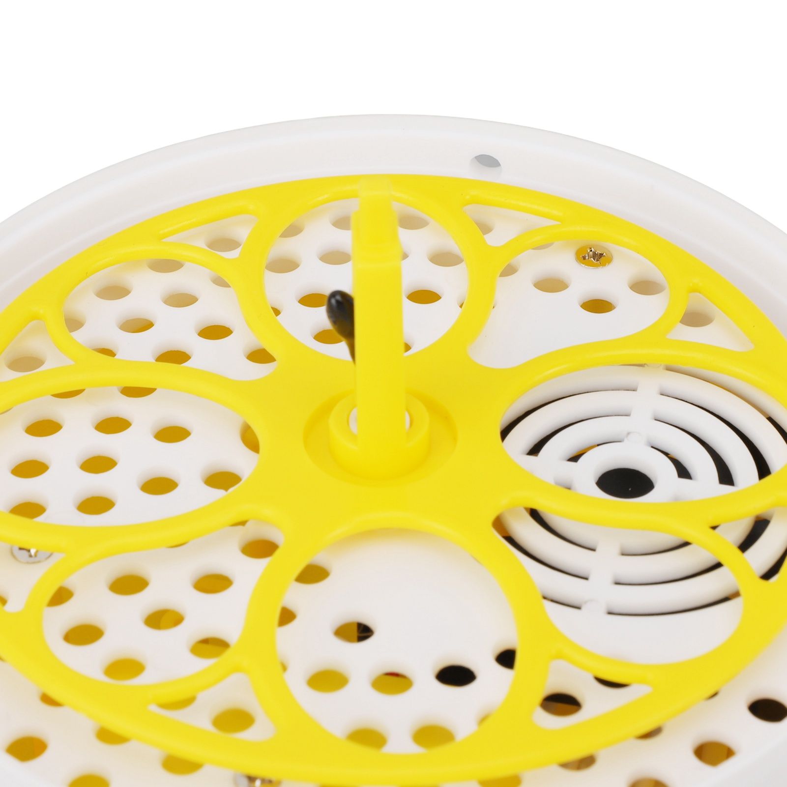 Mini Egg Incubator for Home Automatic Temperature Humidity Control 4 Eggs view 13