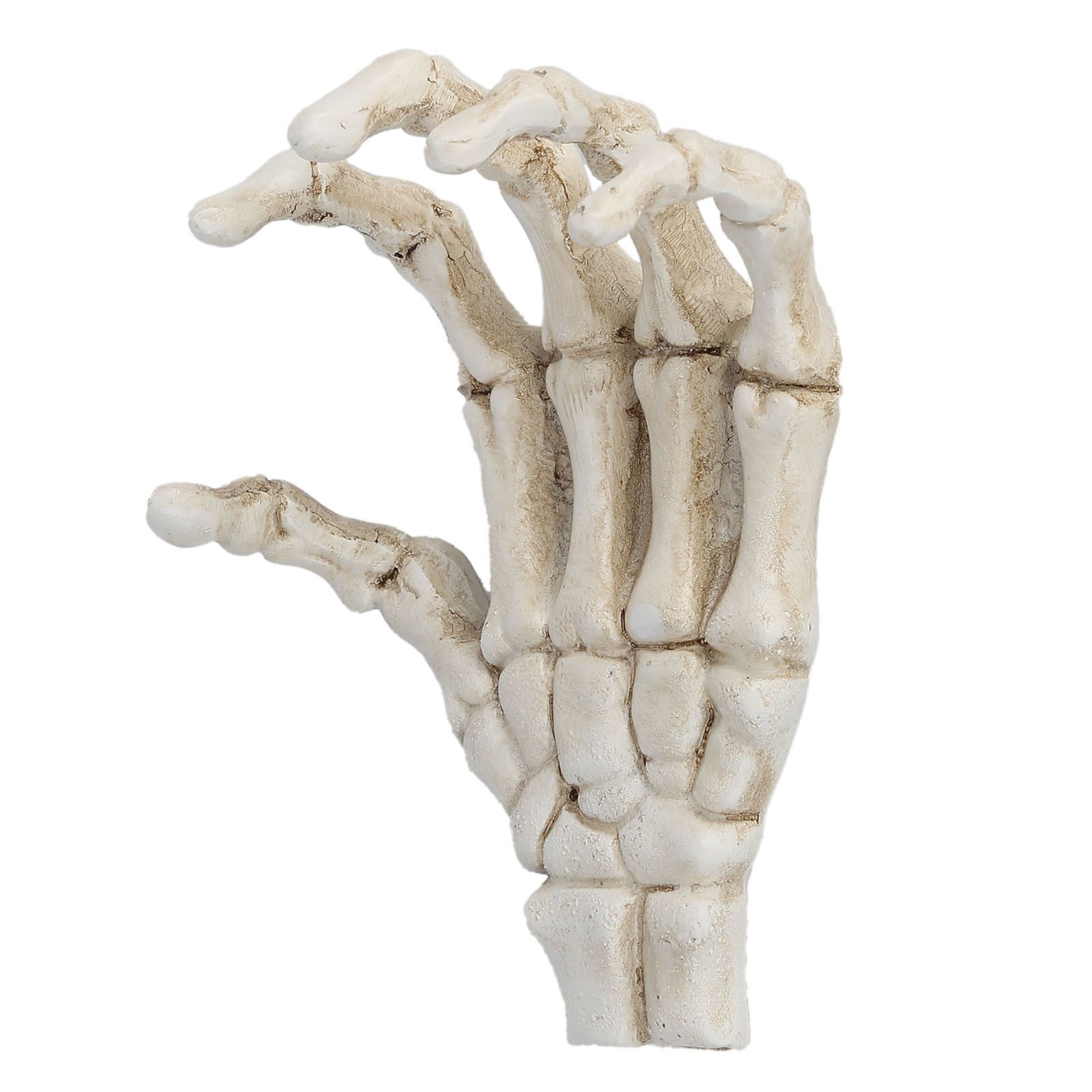 Halloween Skeleton Hands High Hardness Corrosion Resistance Lightweight Hand view 3