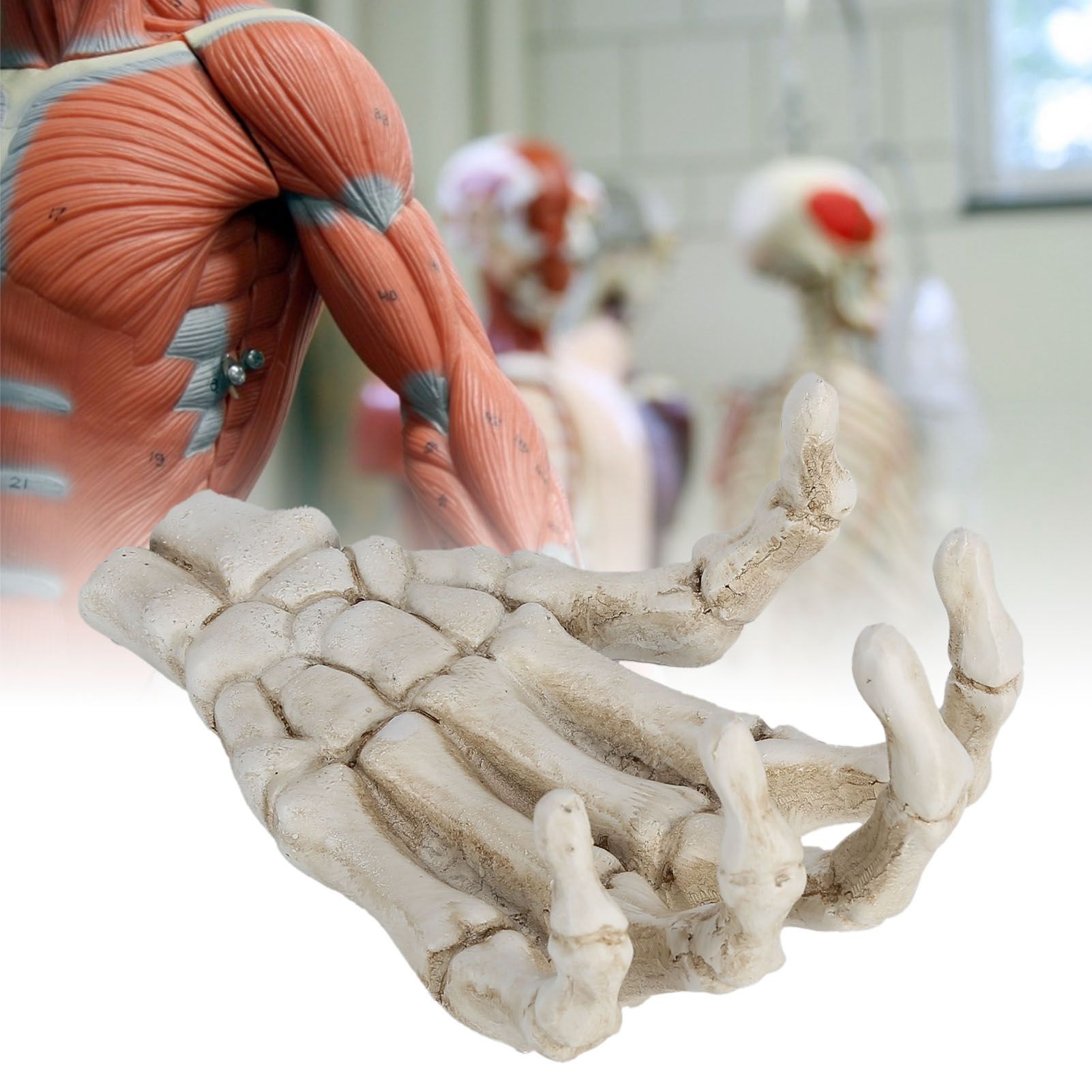 Halloween Skeleton Hands High Hardness Corrosion Resistance Lightweight Hand view 11