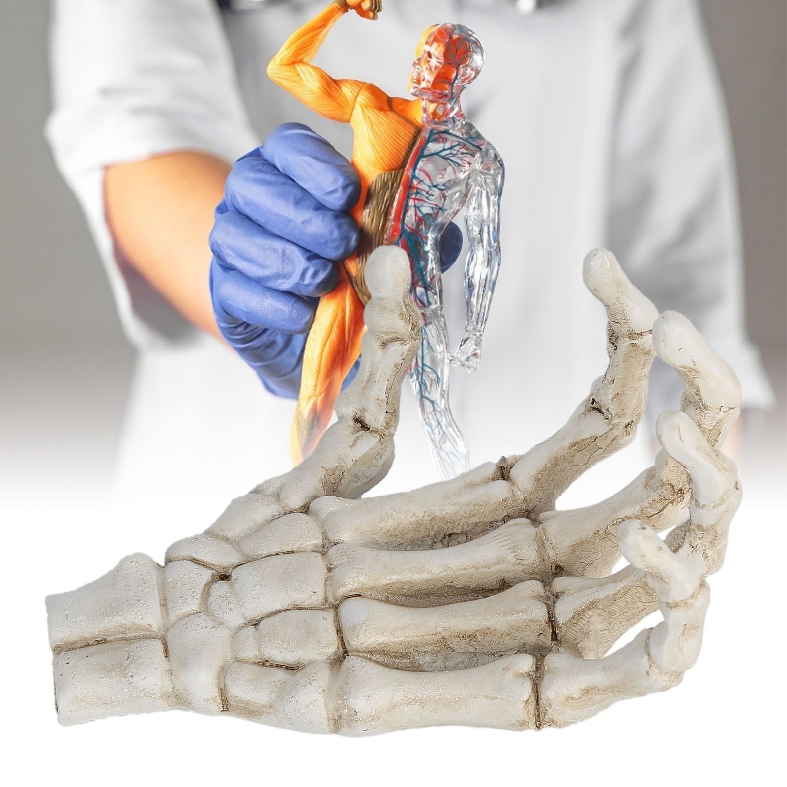Halloween Skeleton Hands High Hardness Corrosion Resistance Lightweight Hand view 12