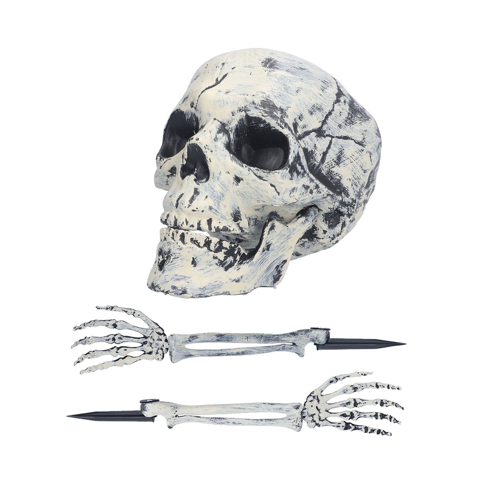Skeleton Decor Cosplay DIY Multifunctional Lifelike Compact Scary Halloween view 6