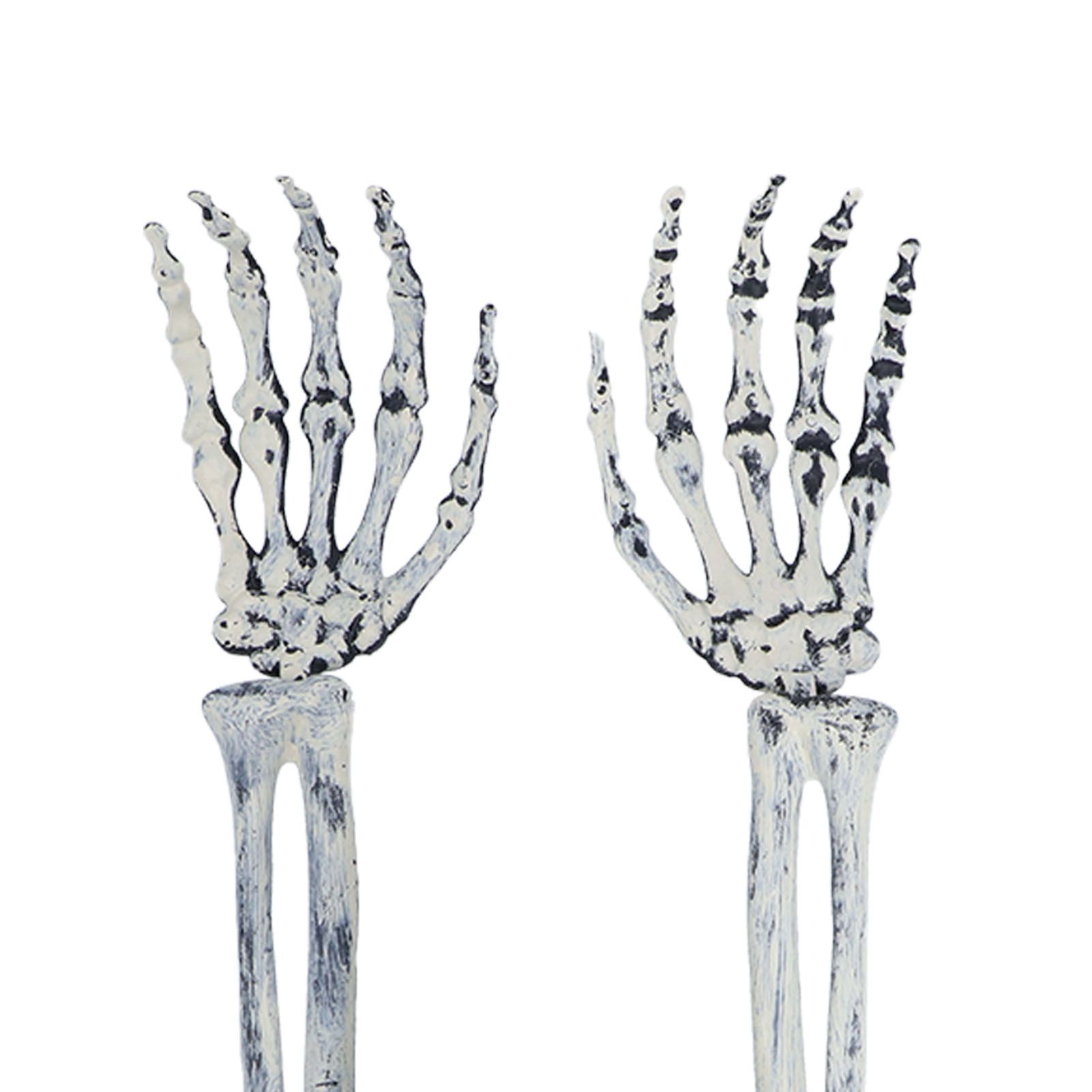 Skeleton Decor Cosplay DIY Multifunctional Lifelike Compact Scary Halloween view 15