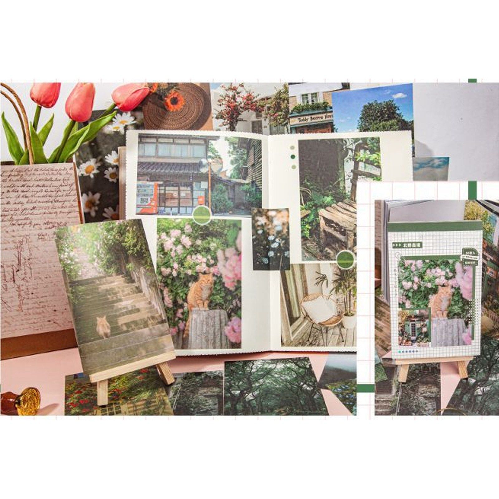50PCS Nature Landscape Stickers Decorative Aesthetic Travel Scenery view 12