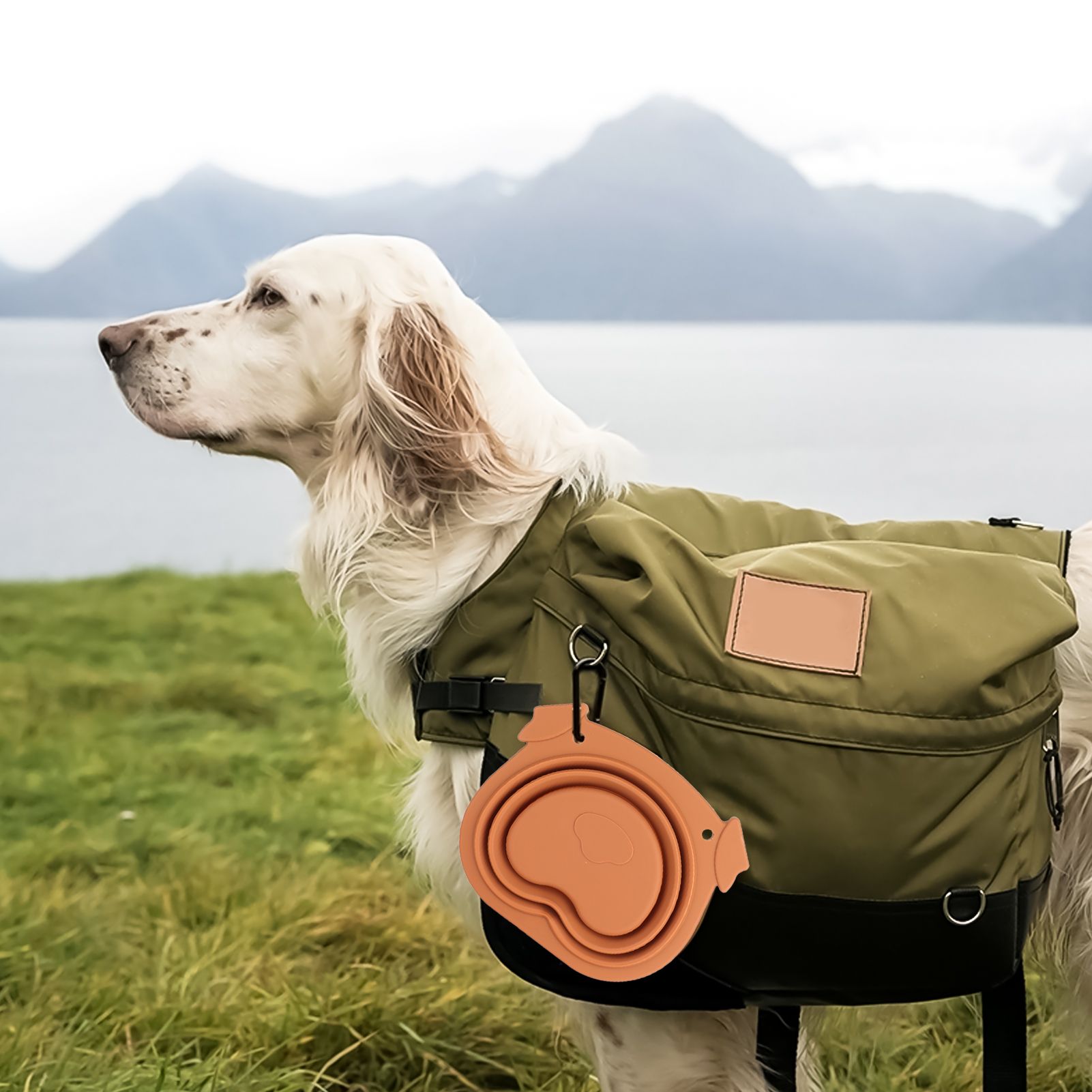 600ml Collapsible Dog Bowl Brown Durable Multifunctional Foldable Portable Dog view 11