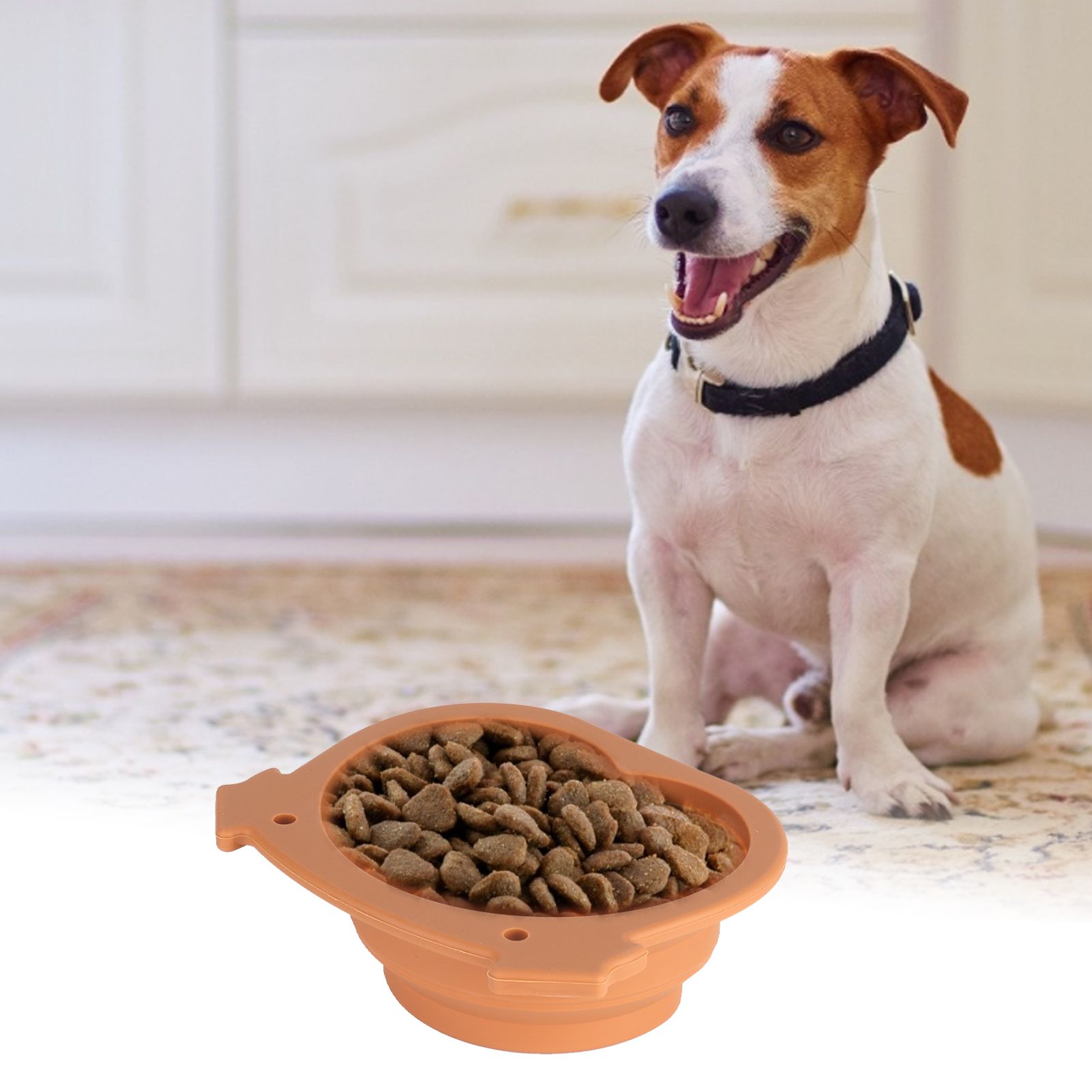 600ml Collapsible Dog Bowl Brown Durable Multifunctional Foldable Portable Dog view 12