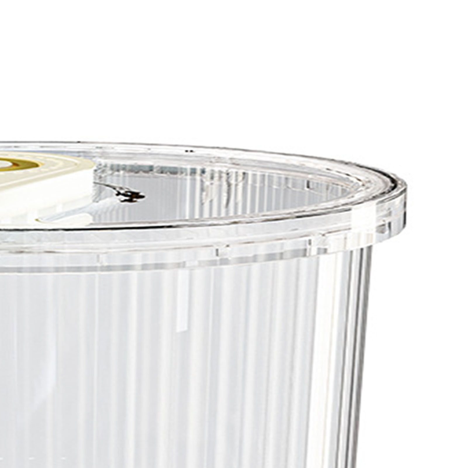 Rice Container Clear Rice Storage Bin Airtight Rice Bucket for Dry Food Grain view 6