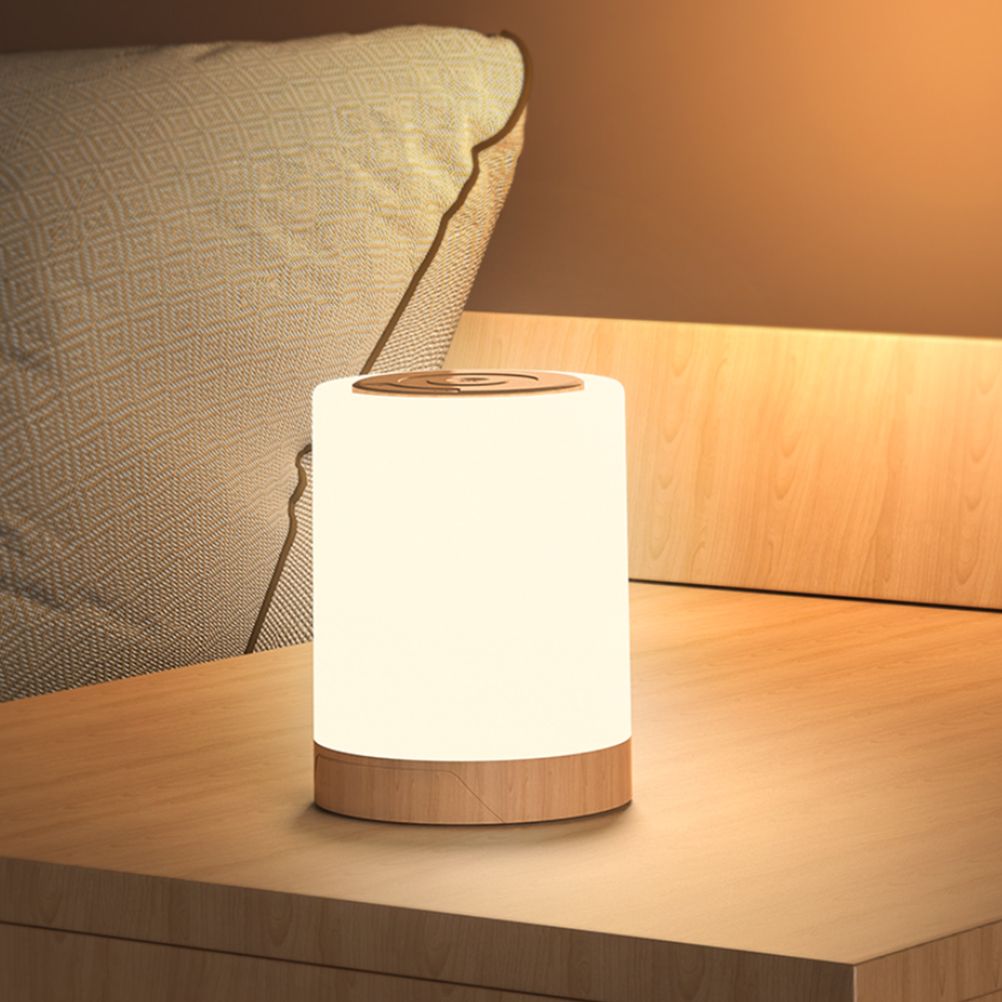 LED Touch Lamp USB Rechargeable Table Bedside Lamps Dimmable RGB Warm White view 2