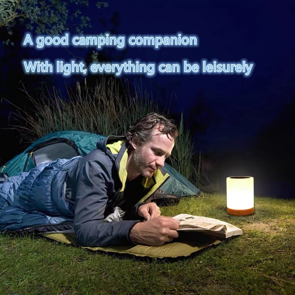 LED Touch Lamp USB Rechargeable Table Bedside Lamps Dimmable RGB Warm White view 6