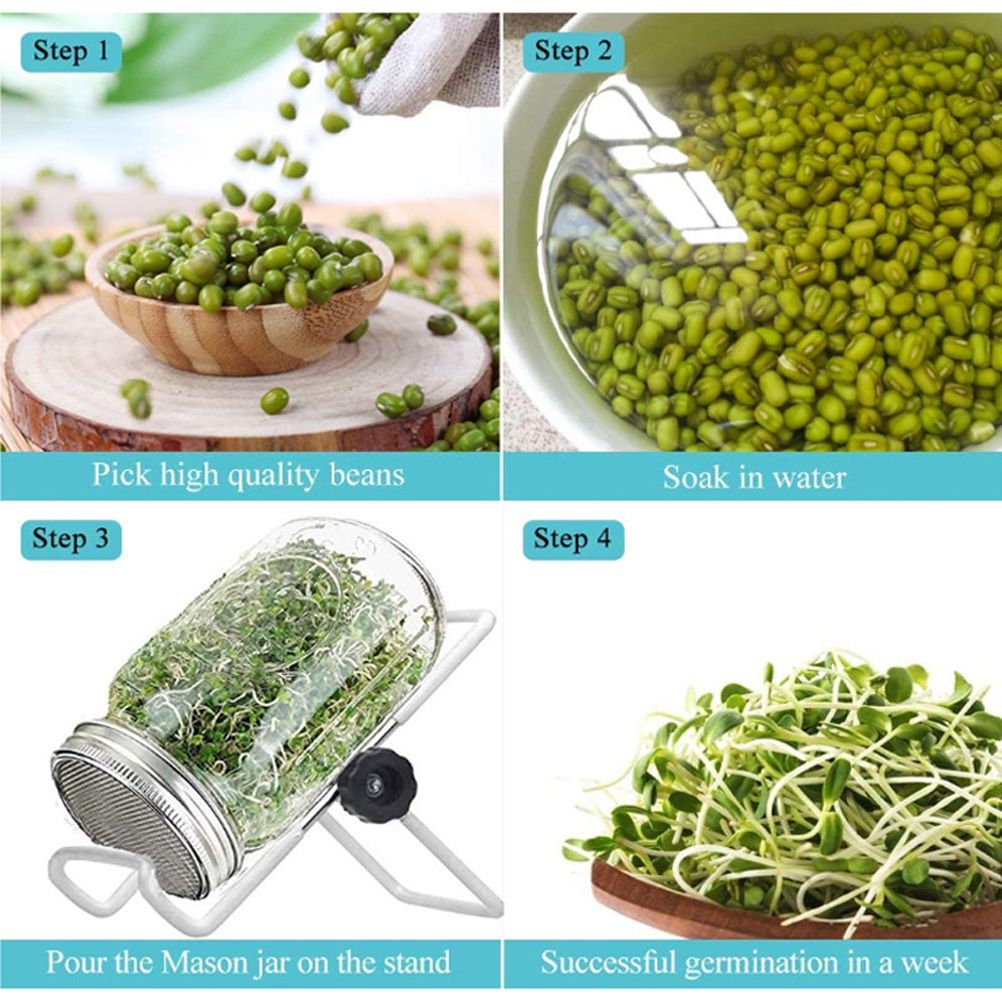 Sprouting Jar With Stainless Steel 304 Screen Lid Wide Mouth Quart Mason Sprouter view 5