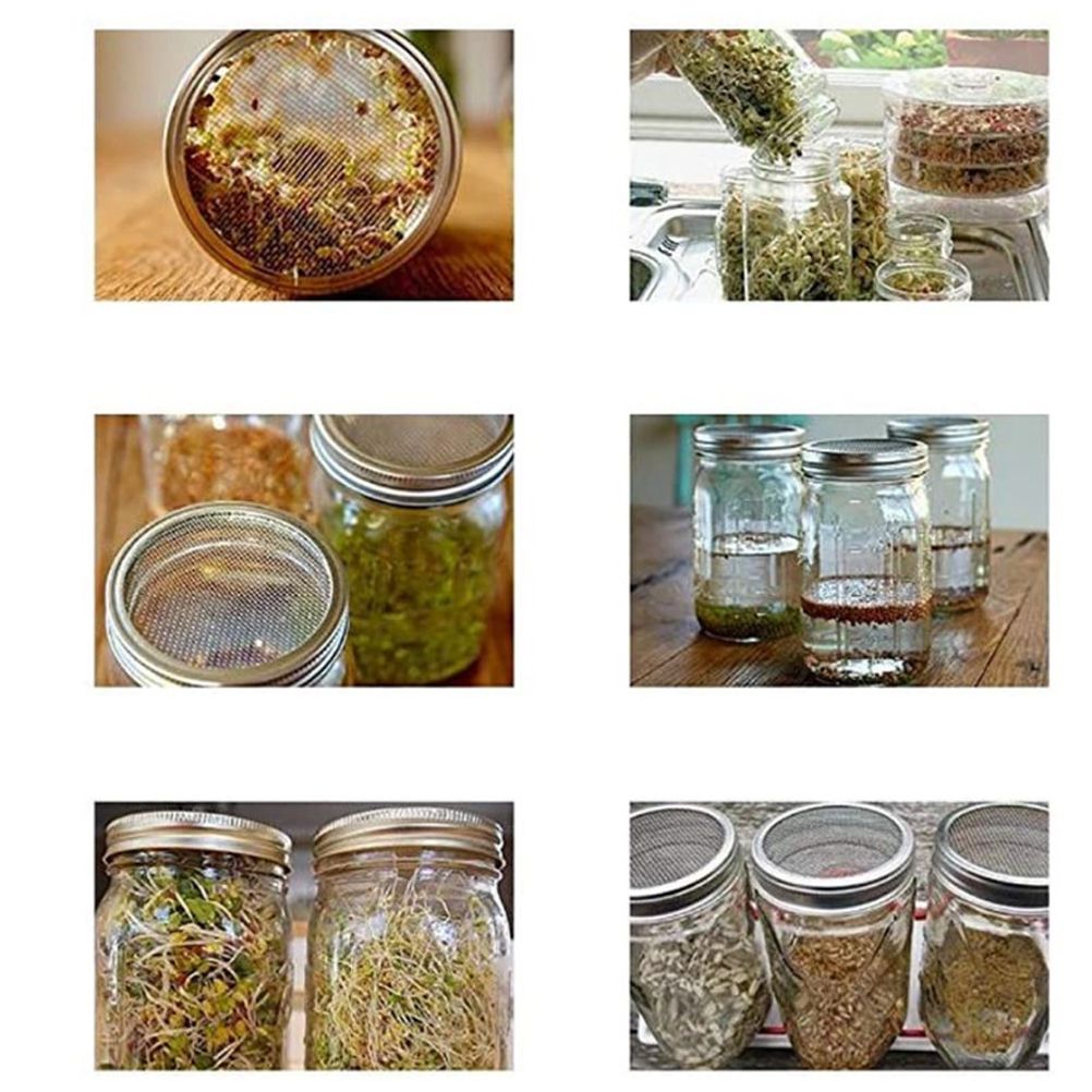 Sprouting Jar With Stainless Steel 304 Screen Lid Wide Mouth Quart Mason Sprouter view 8