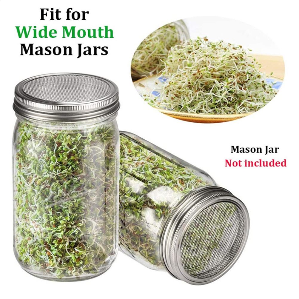 Sprouting Jar With Stainless Steel 304 Screen Lid Wide Mouth Quart Mason Sprouter view 10