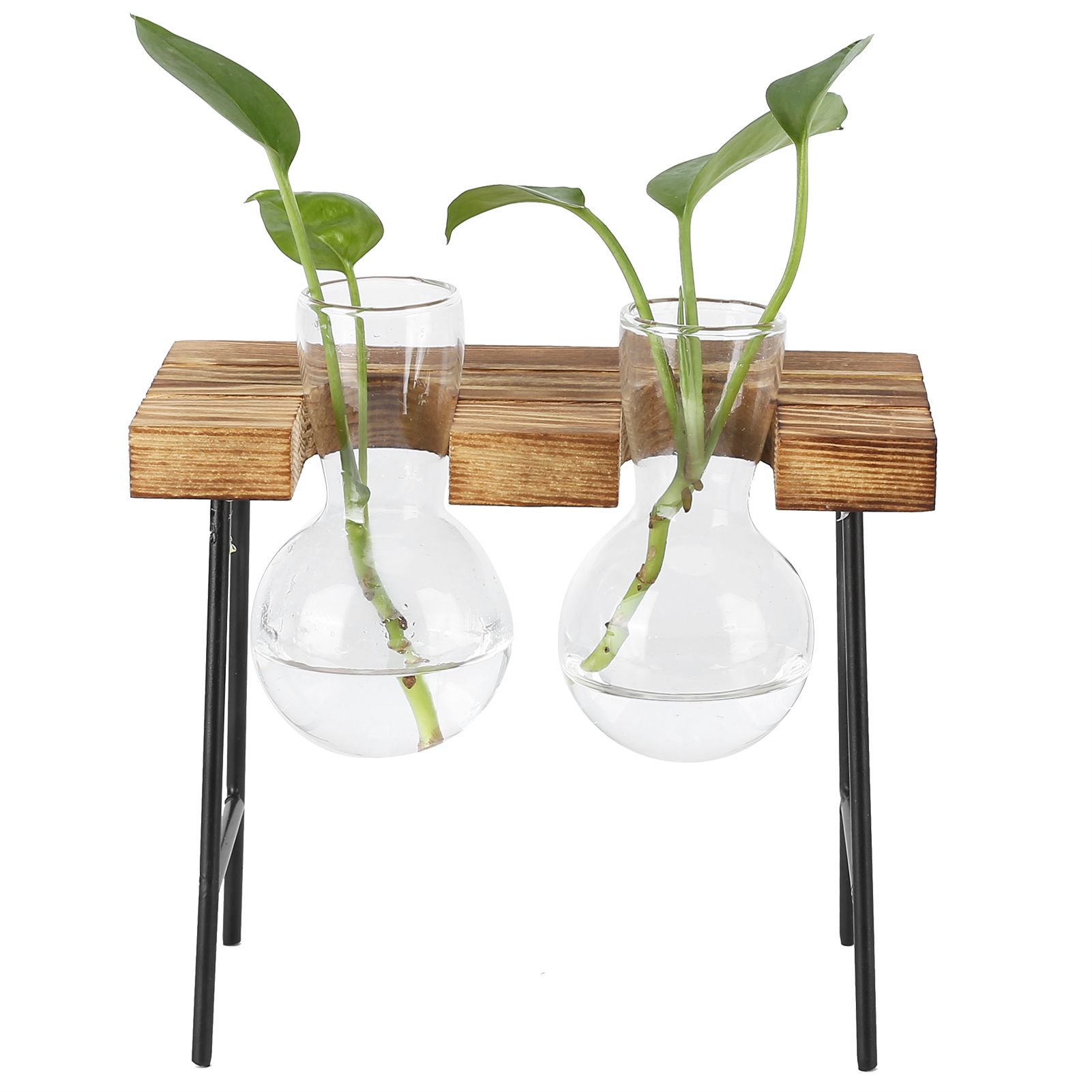 Desktop Glass Planter Wooden Stand Bulb Glass Vase Hydroponics Plant Planter view 7